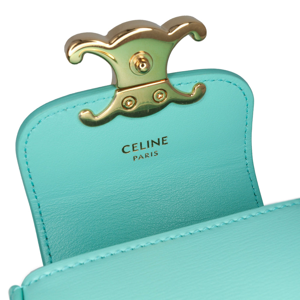 Triomphe Shoulder Bag Smooth Calfskin Mini