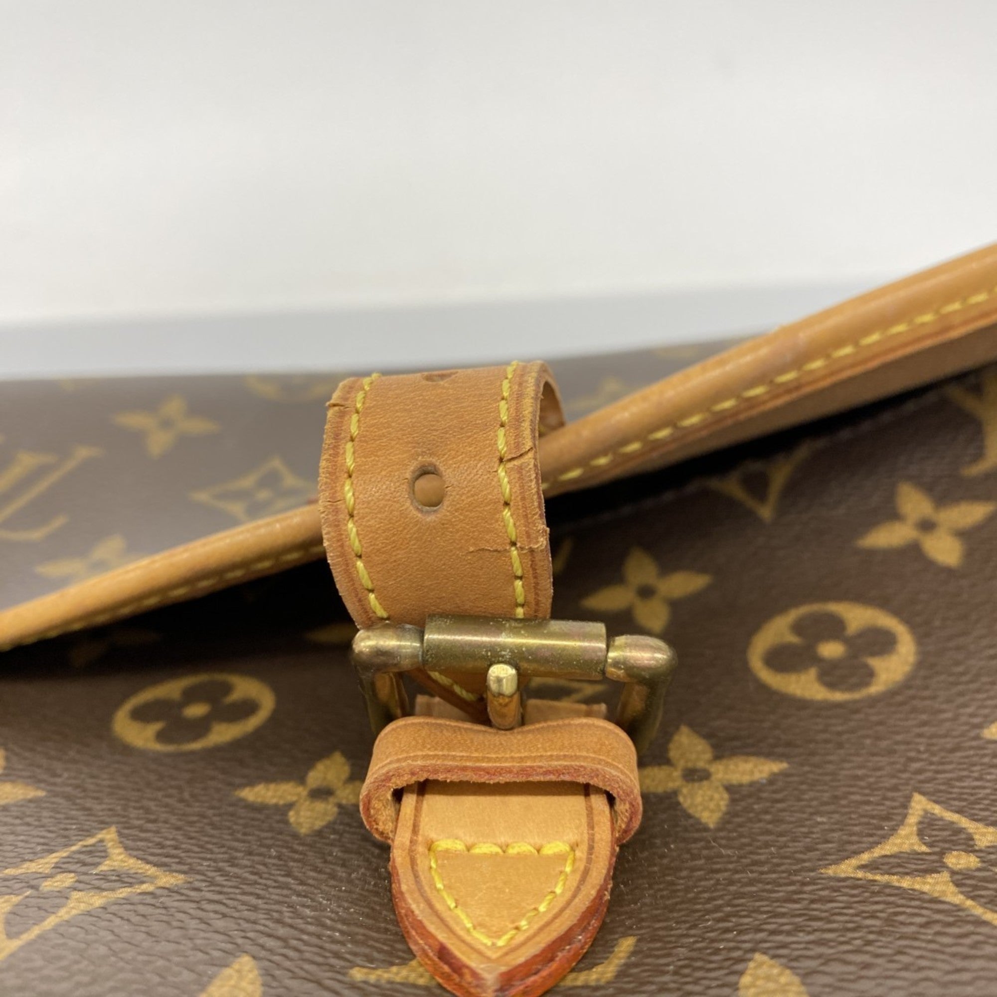 Sologne Handbag Monogram Canvas