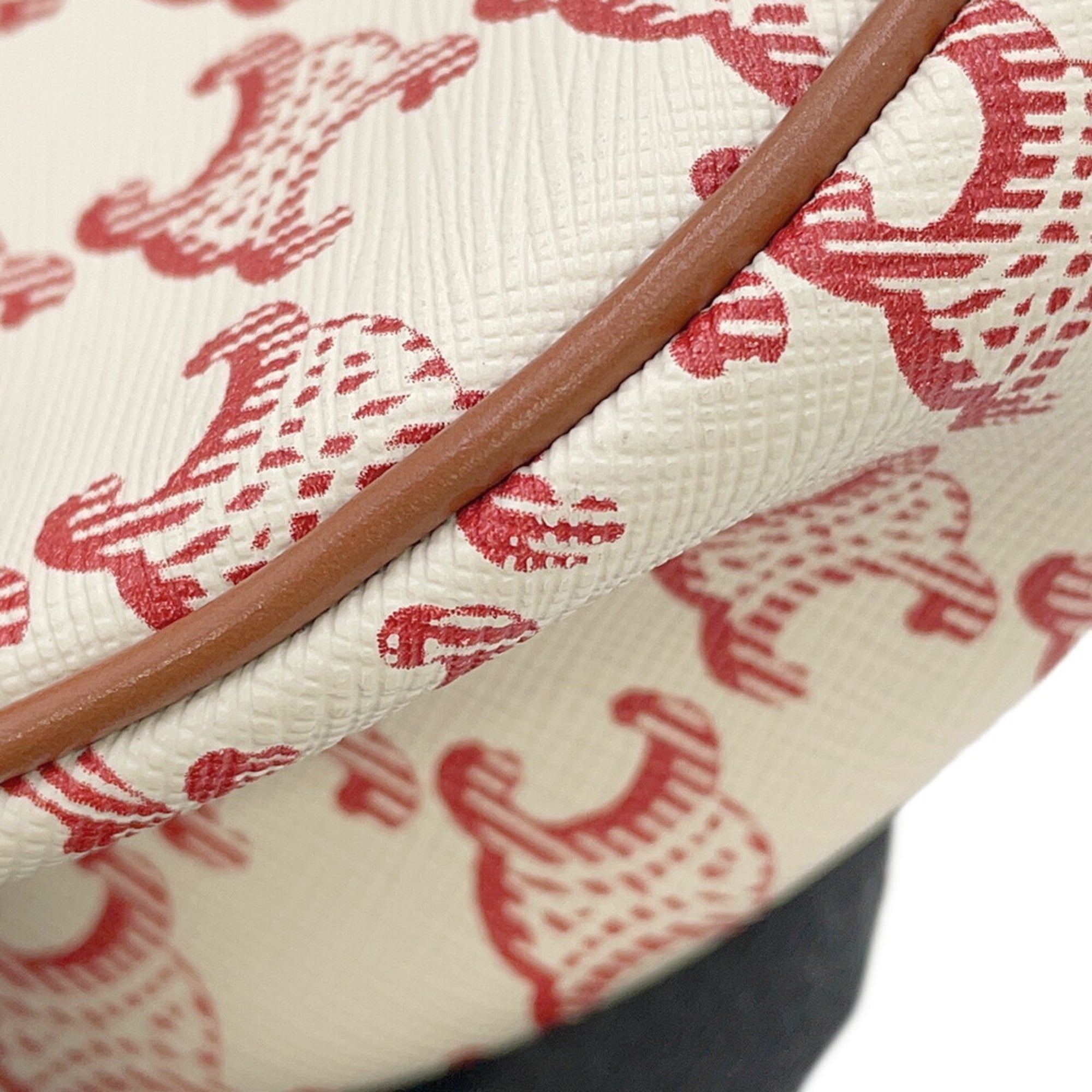 Ava Bag Triomphe Coated Canvas