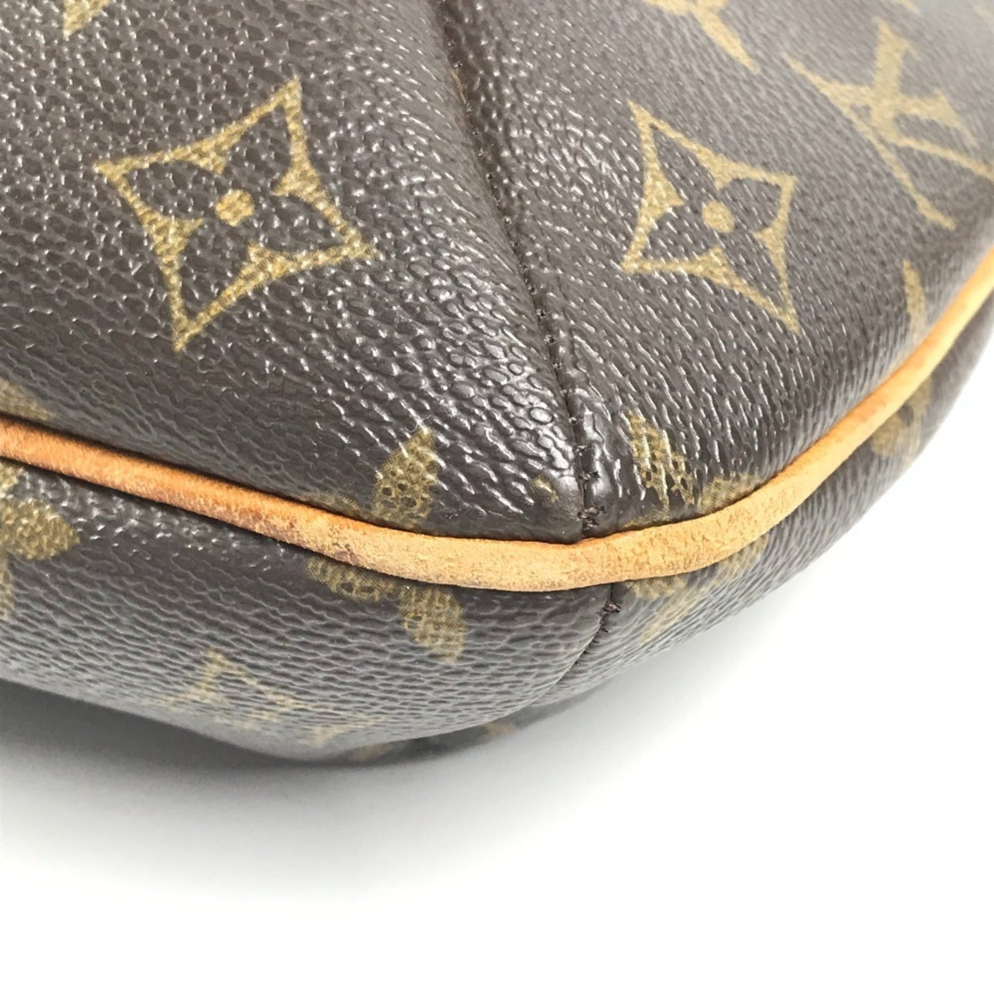 Musette Salsa Handbag Monogram Canvas GM
