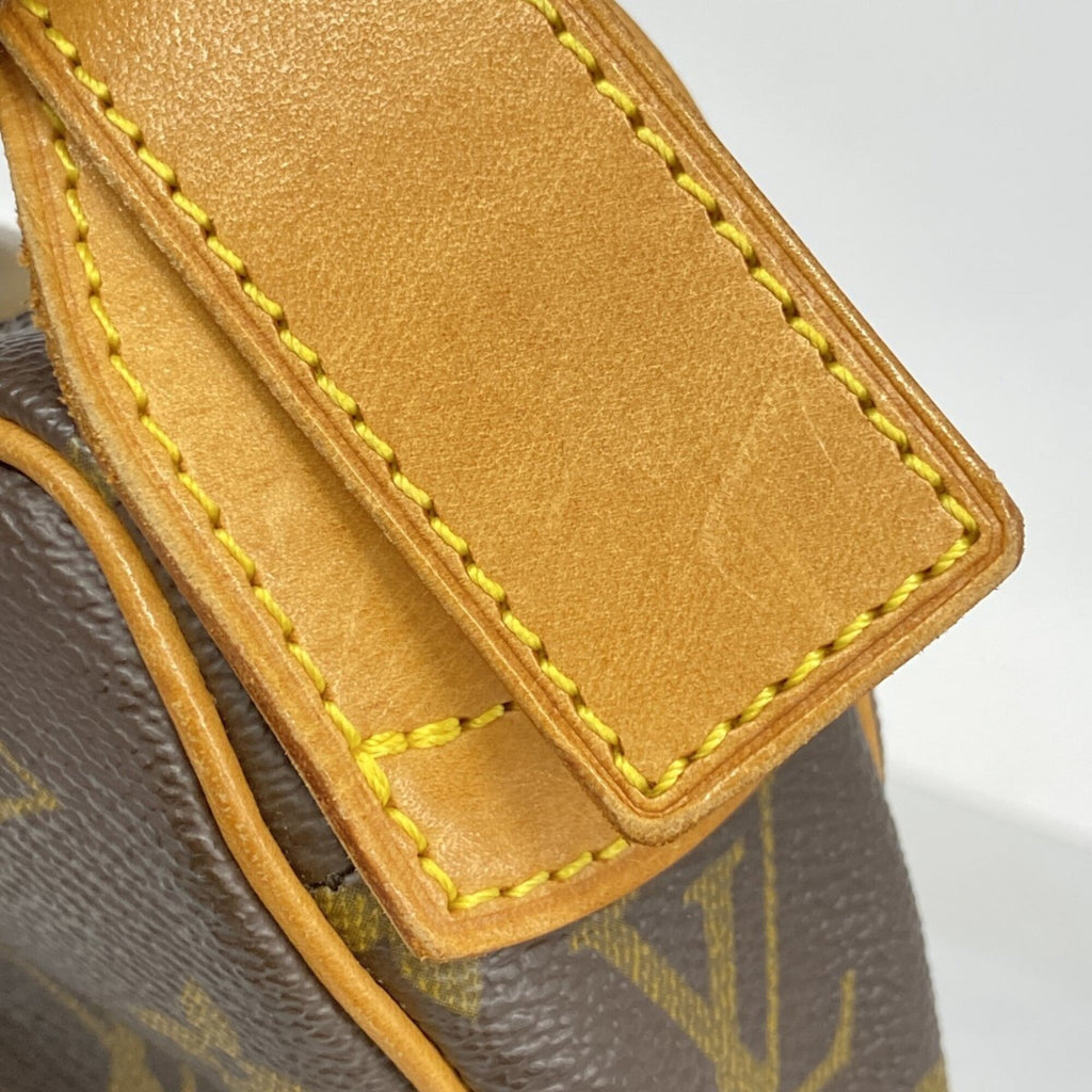 Croissant Handbag Monogram Canvas MM