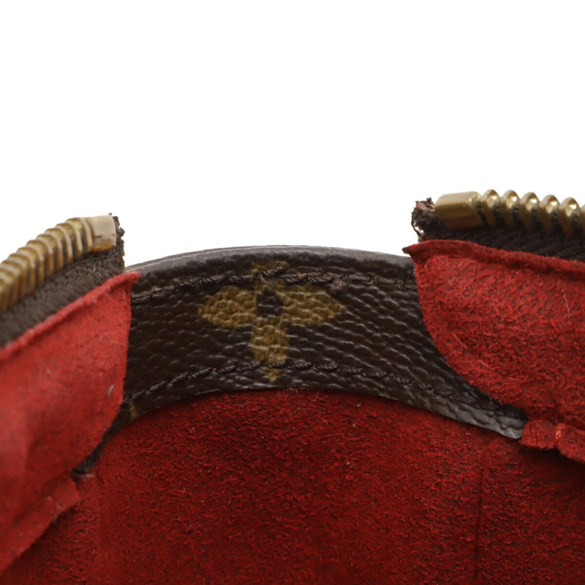 Viva Cite Handbag Monogram Canvas PM