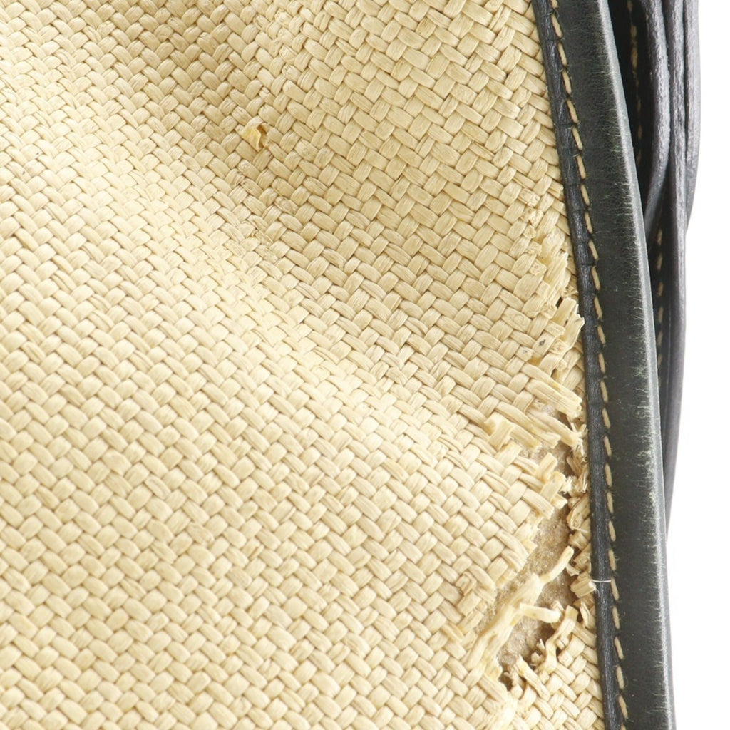 Evelyne Bag Gen I Toile and Leather PM
