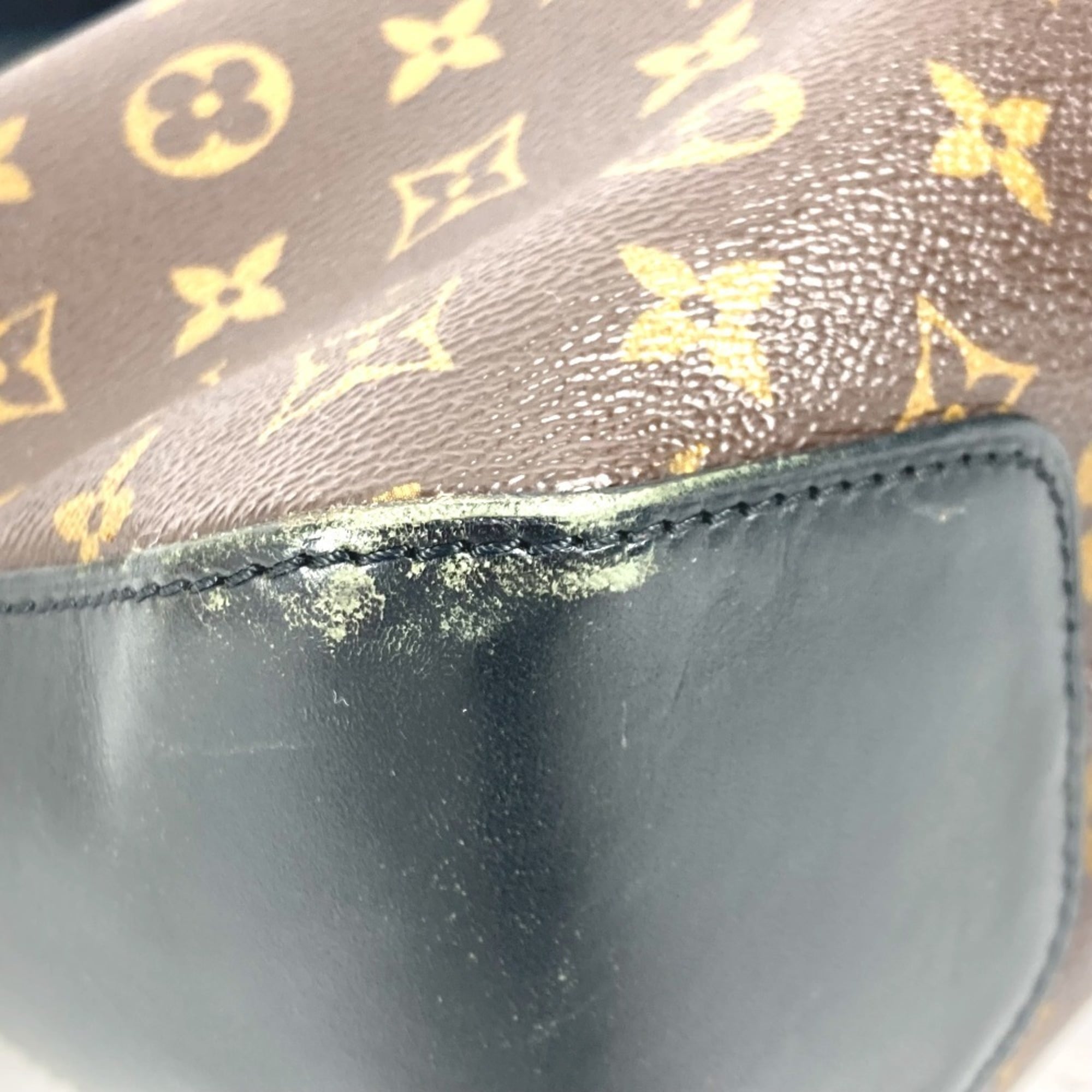 Torres Handbag Macassar Monogram Canvas GM