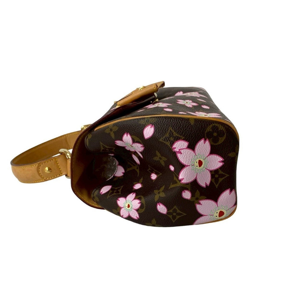 Louis Vuitton Brown Pink Leather Pvc Handbag (Pre-Owned)