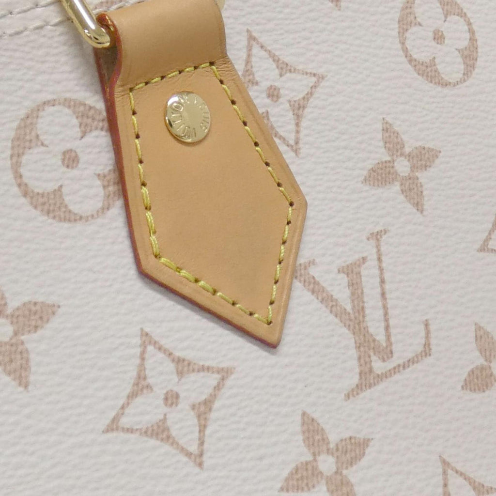 Louis Vuitton Dune Coated Canvas Handbag (Pre-Owned)