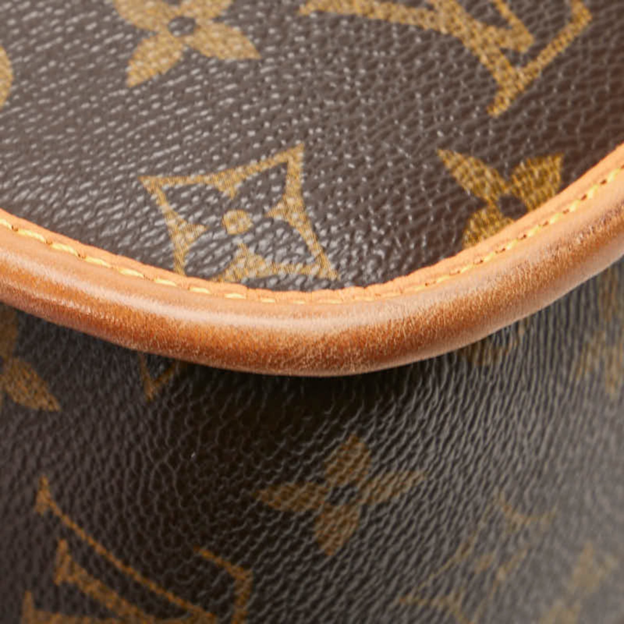 Sologne Handbag Monogram Canvas