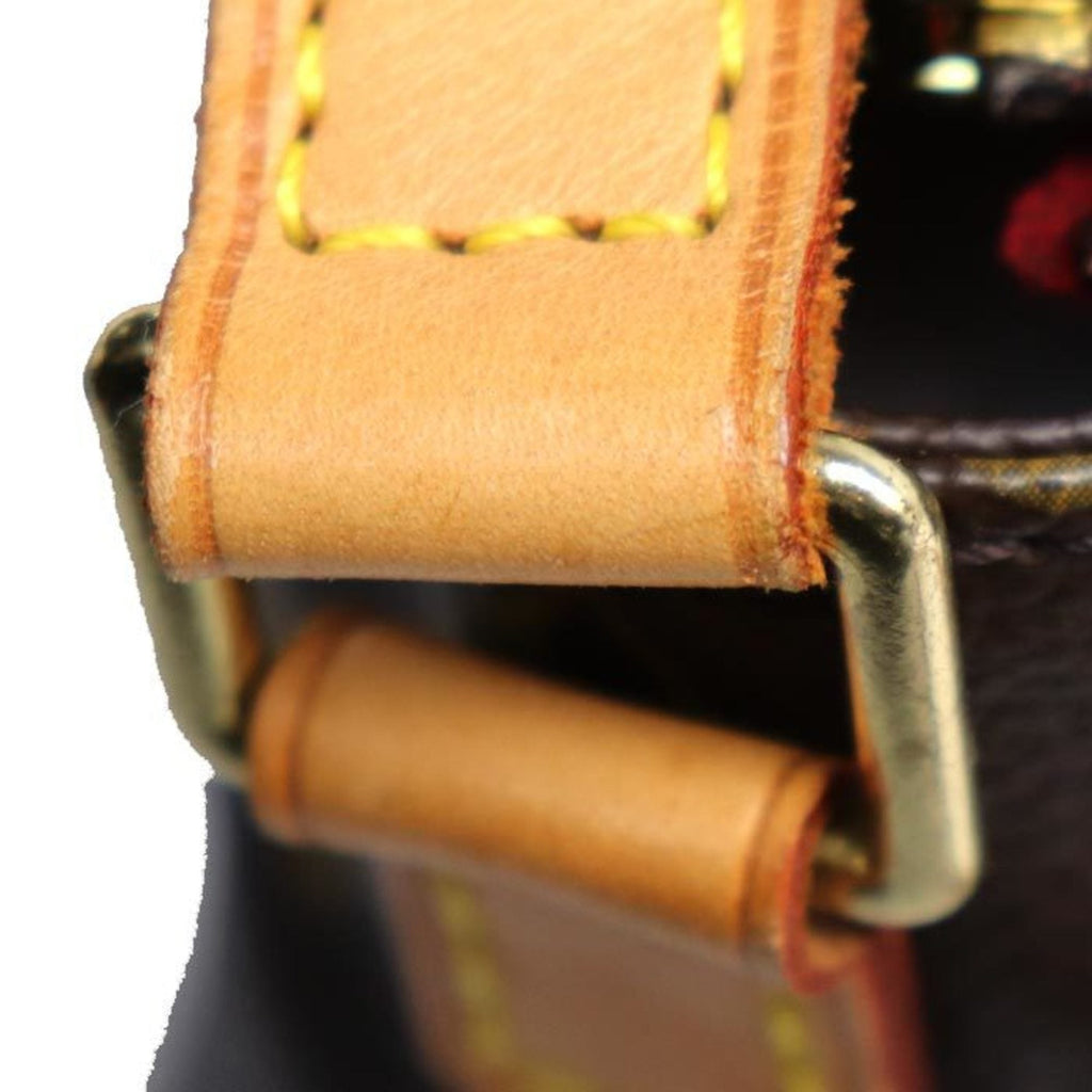 Viva Cite Handbag Monogram Canvas PM