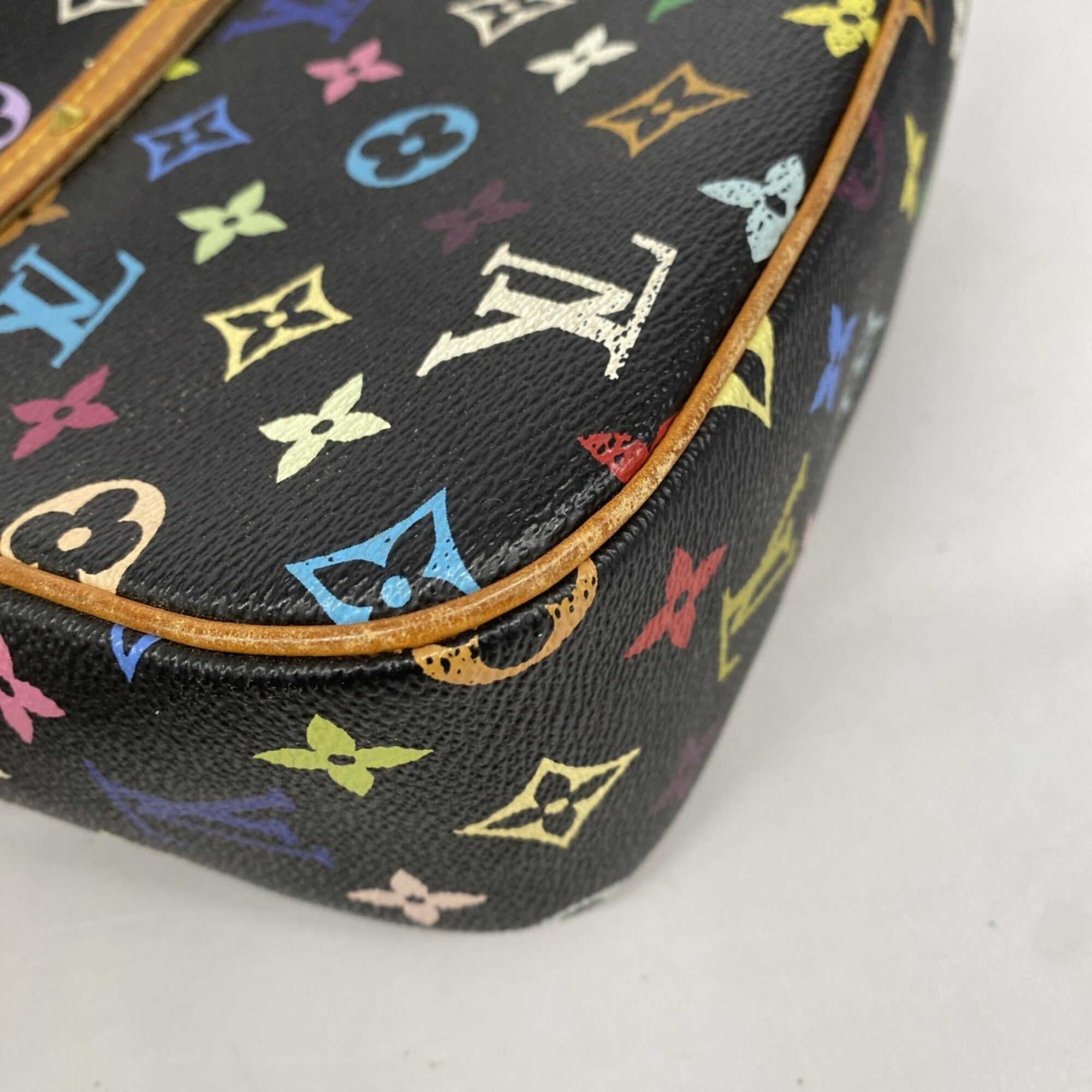 Sologne Handbag Monogram Multicolor
