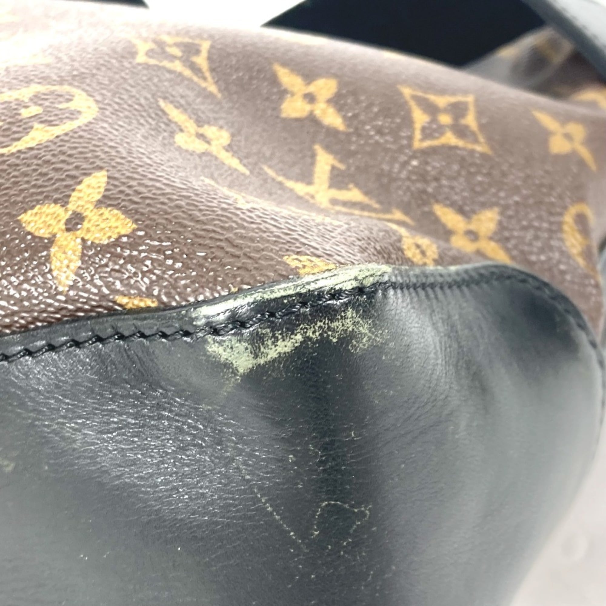 Torres Handbag Macassar Monogram Canvas GM