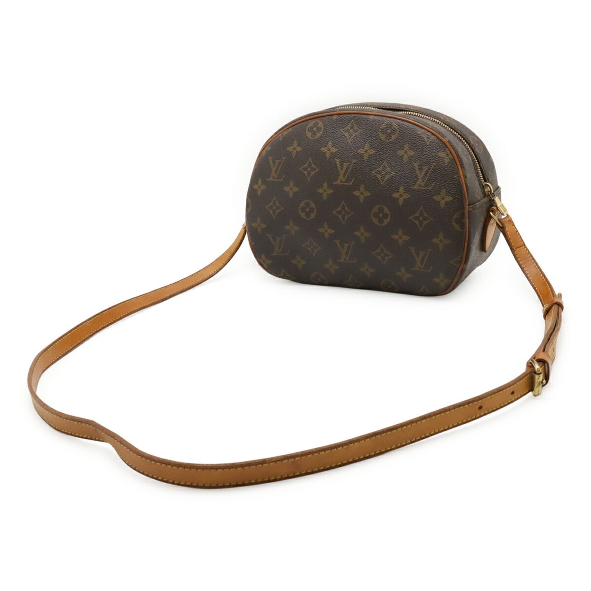 Blois Handbag Monogram Canvas