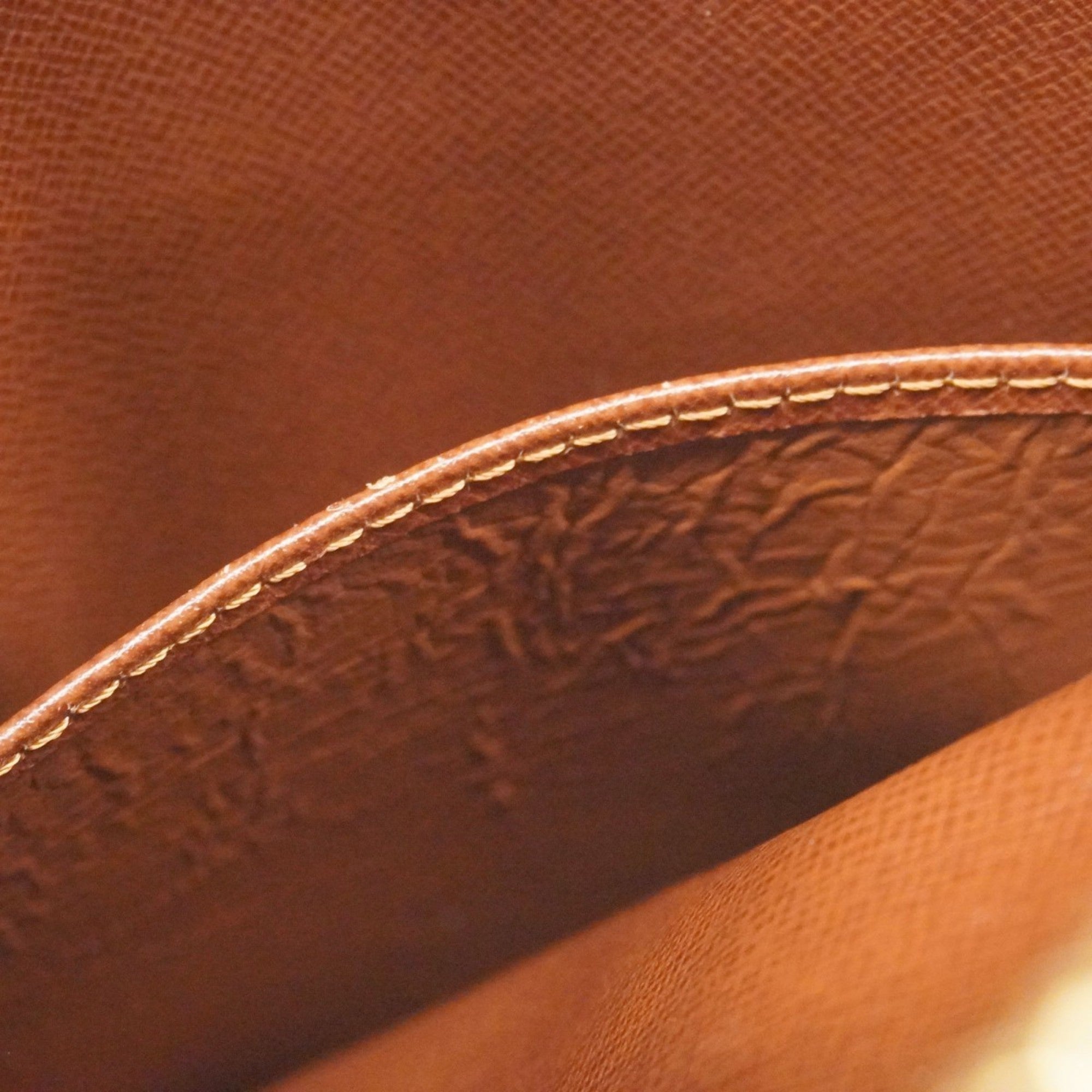 Danube Handbag Monogram Canvas