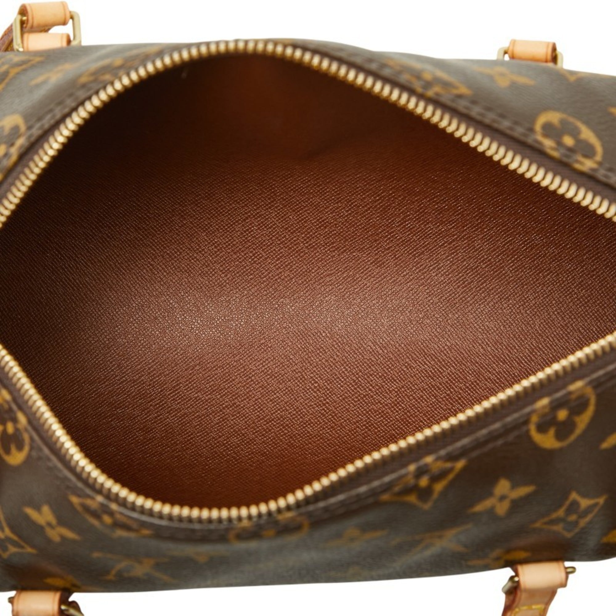 Louis Vuitton Monogram Brown Pvc Leather Handbag (Pre-Owned)