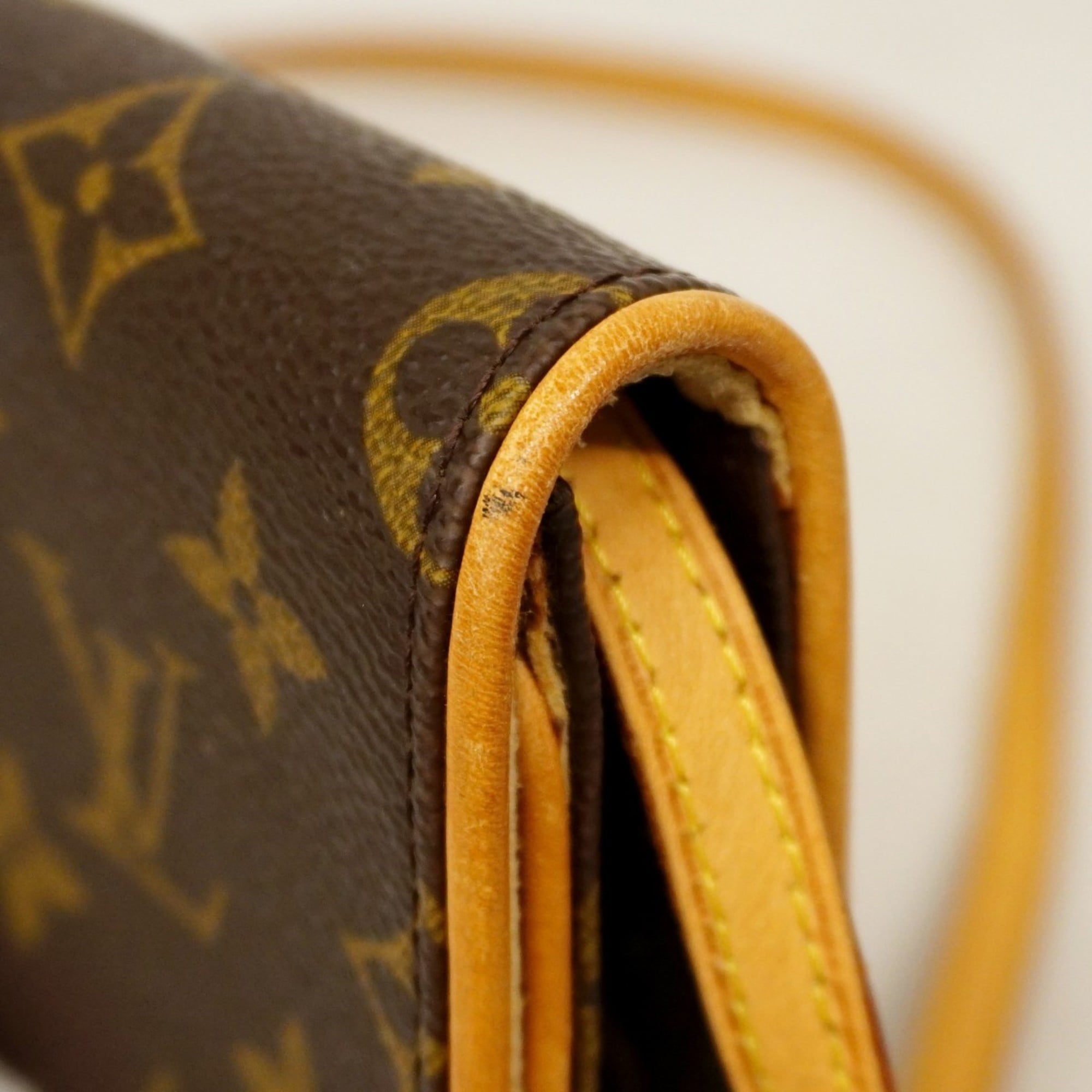 Twin Handbag Monogram Canvas GM