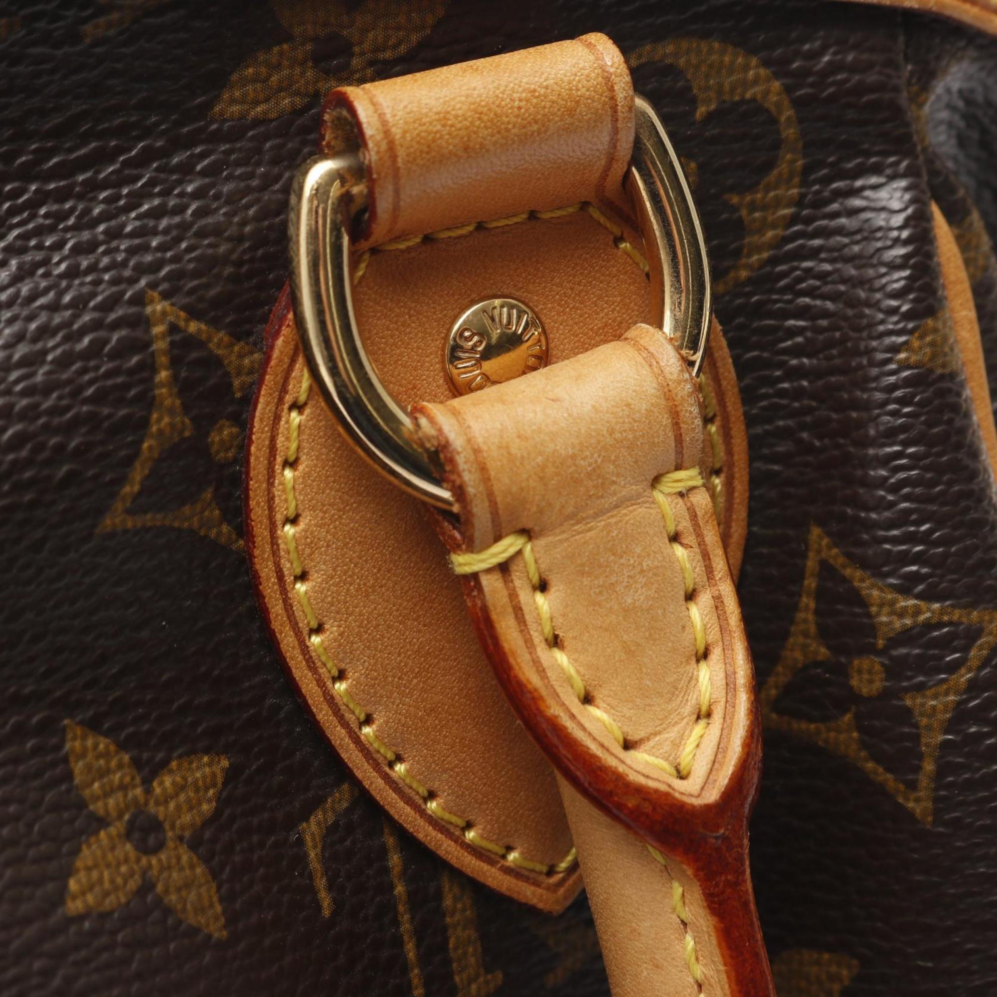 Louis Vuitton Brown Monogram Monogram Handbag (Pre-Owned)