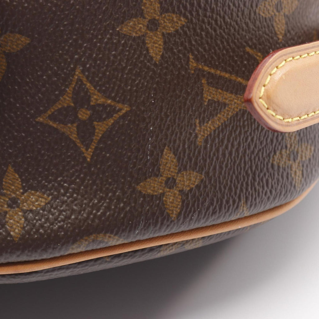 Louis Vuitton Brown Monogram Monogram Shoulder Bag (Pre-Owned)