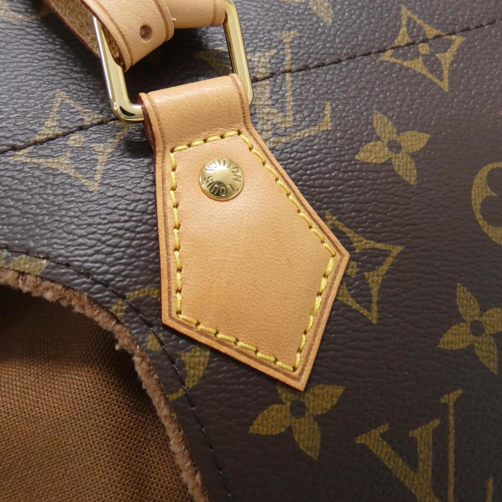 Louis Vuitton Marron Coated Canvas Handbag (Pre-Owned)