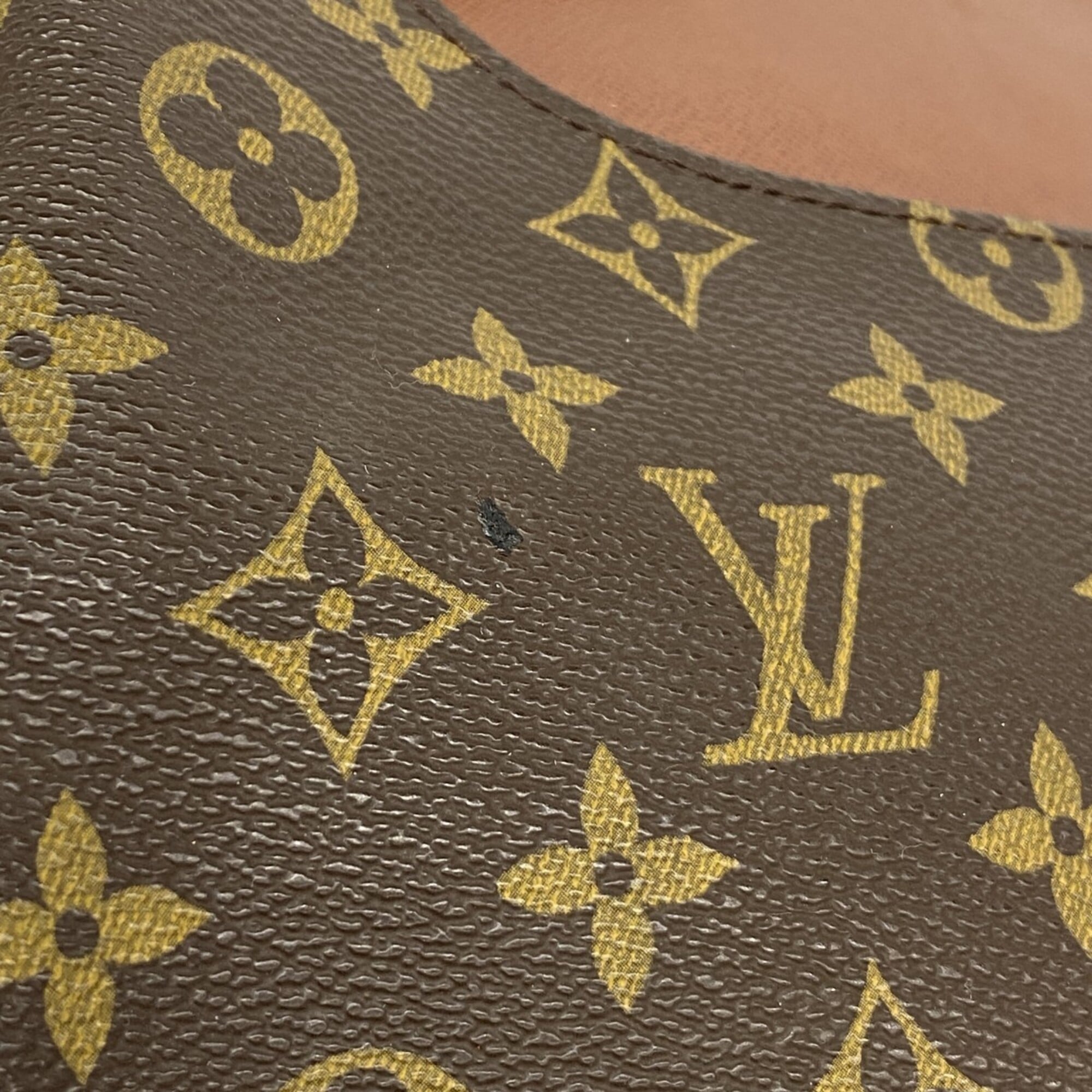 Musette Salsa Handbag Monogram Canvas GM
