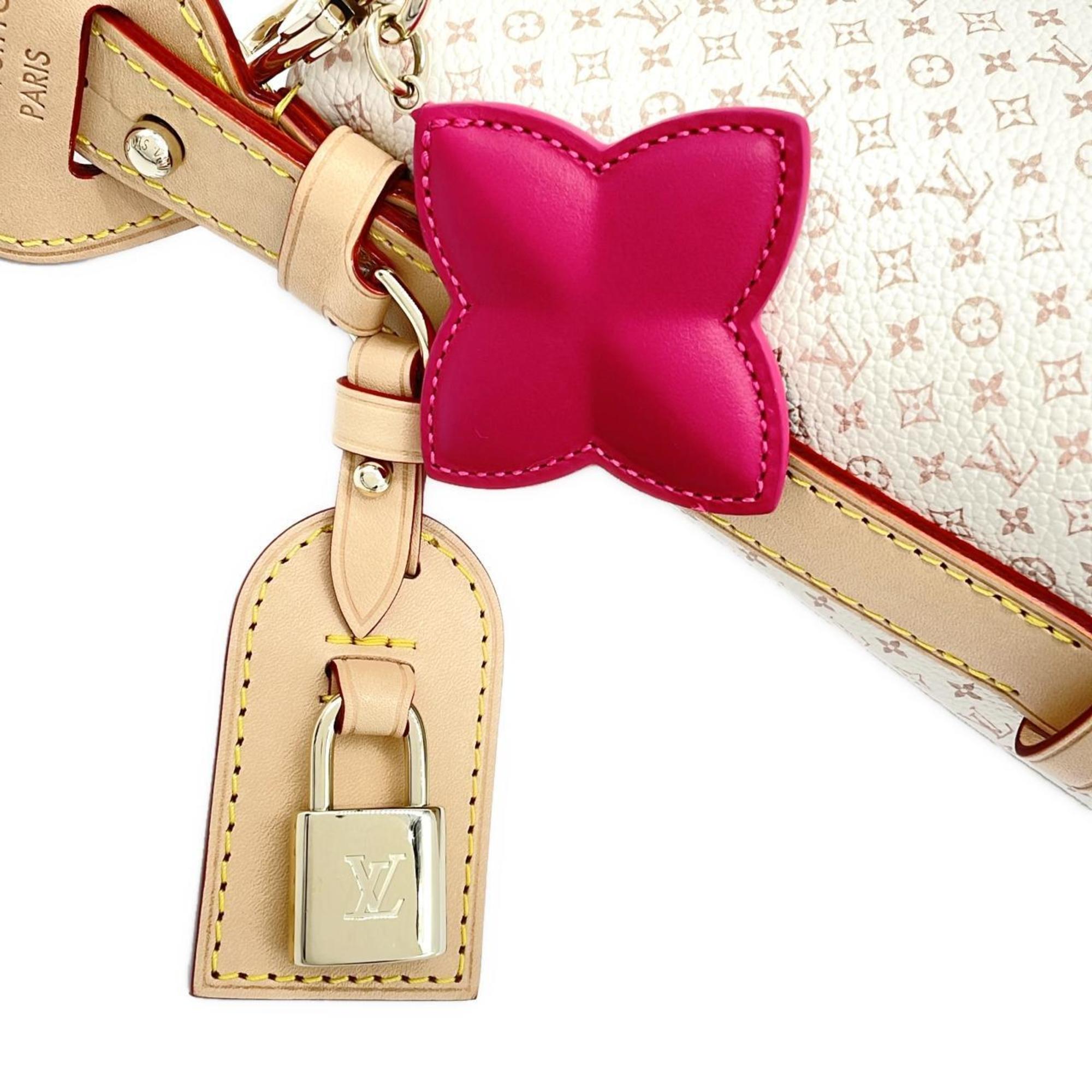 Louis Vuitton Dune Leather Handbag (Pre-Owned)
