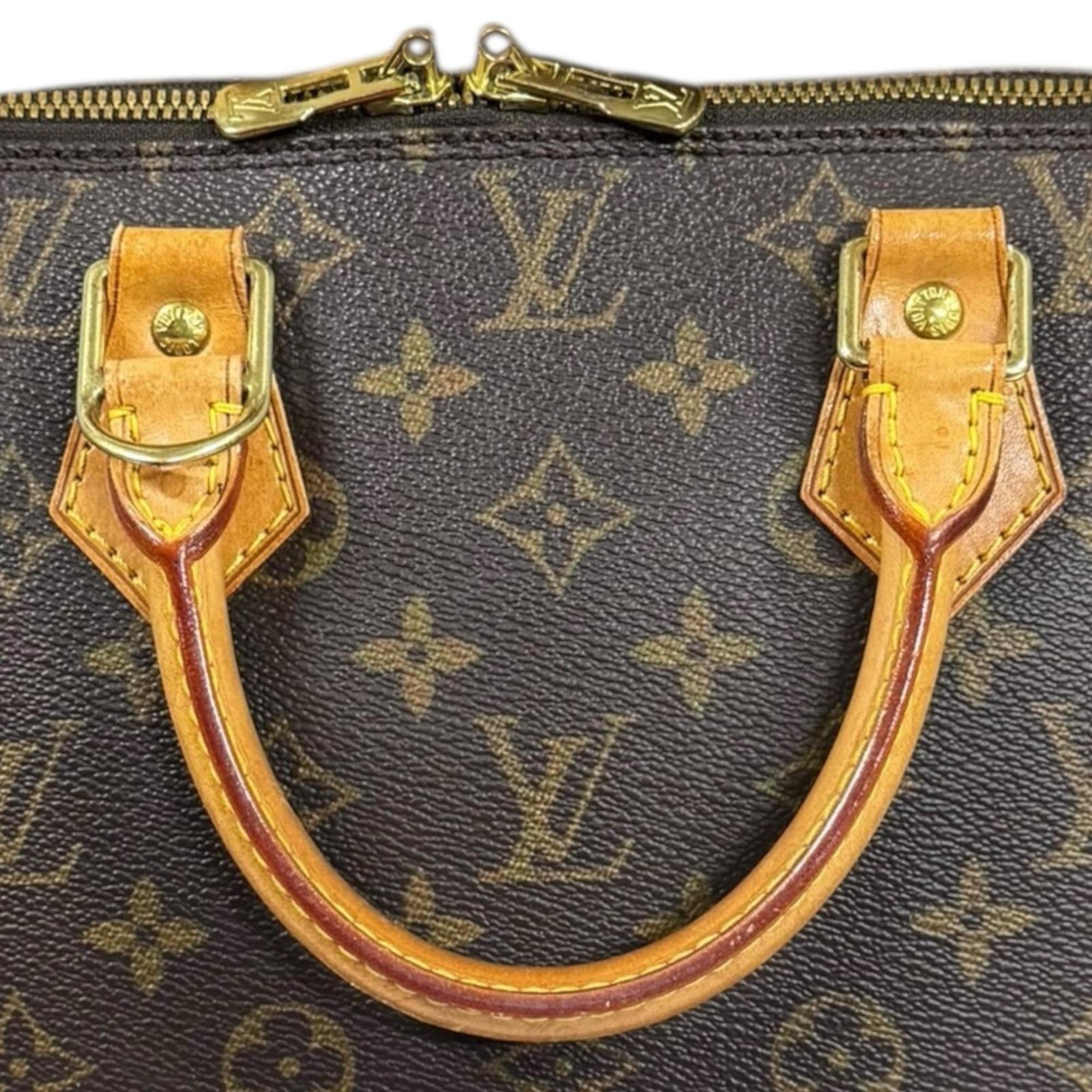 Louis Vuitton Brown Monogram Canvas Handbag (Pre-Owned)