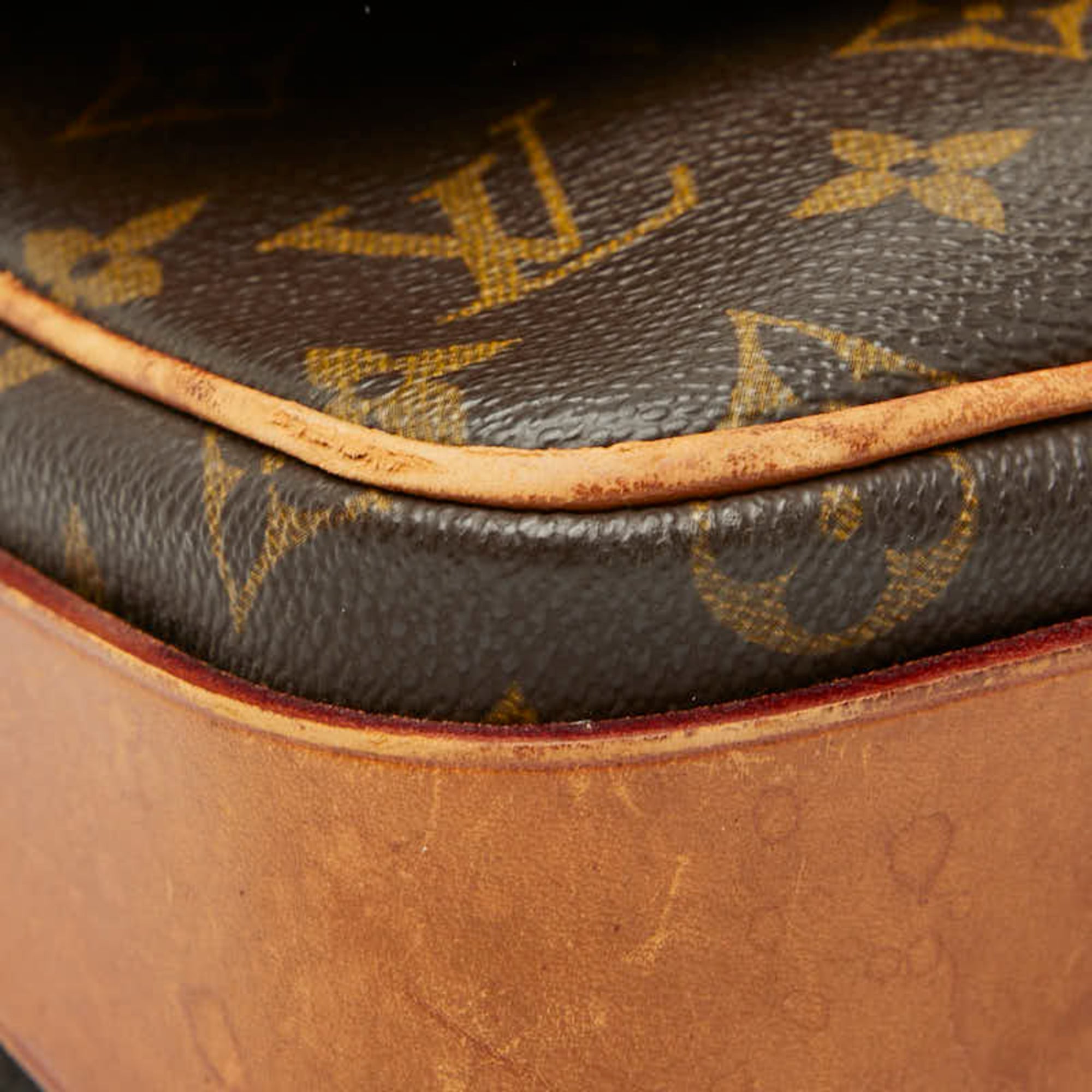 Cartouchiere Handbag Monogram Canvas MM