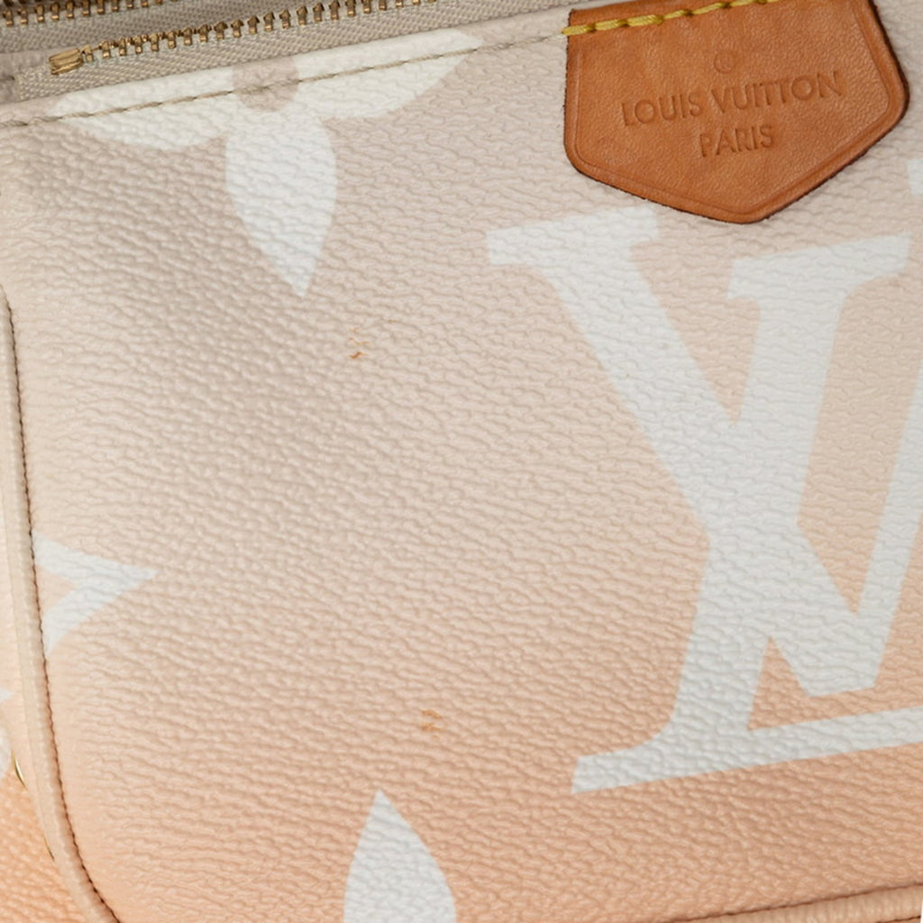 Louis Vuitton Pink Beige Pvc Leather Shoulder Bag (Pre-Owned)