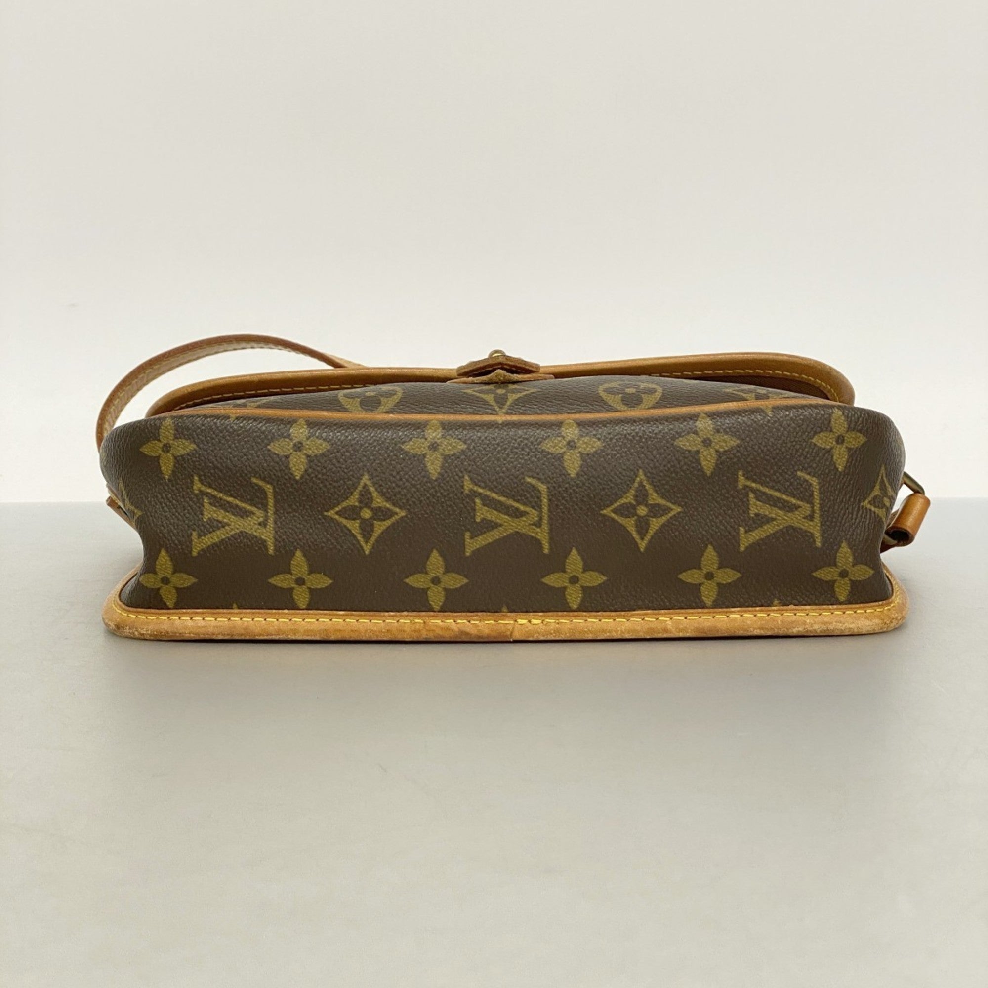 Sologne Handbag Monogram Canvas