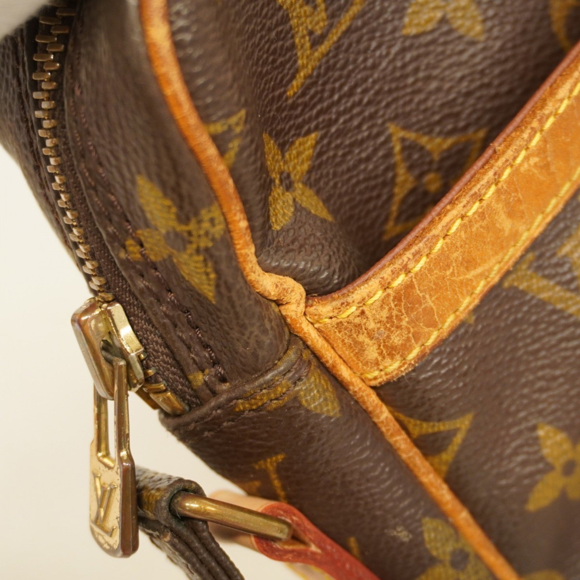Danube Handbag Monogram Canvas
