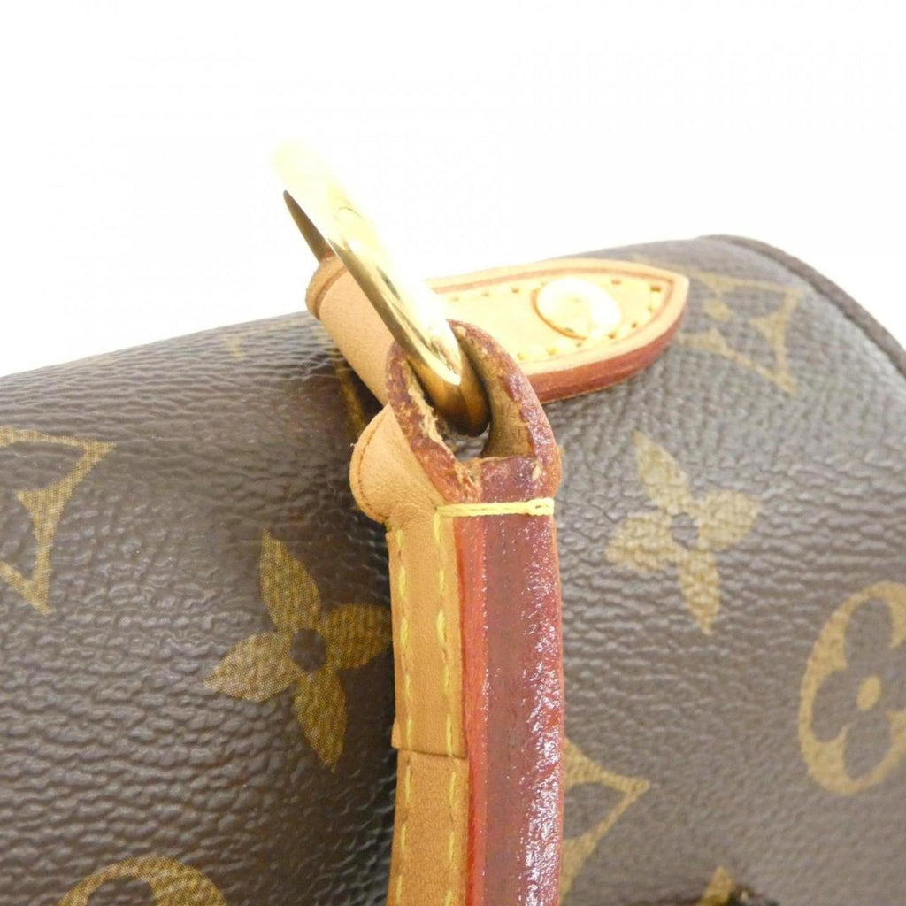 Louis Vuitton Marron Coated Canvas Handbag (Pre-Owned)