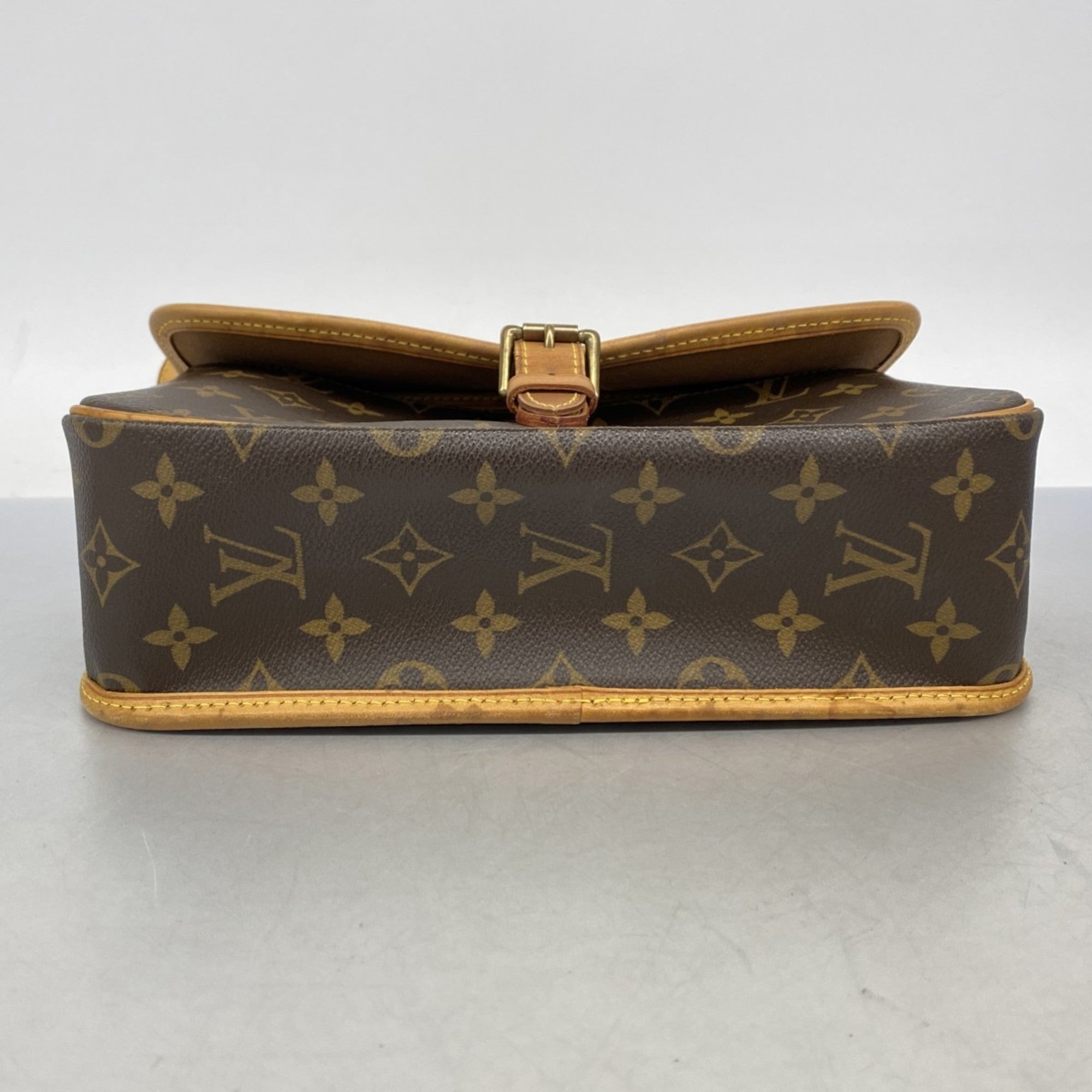 Sologne Handbag Monogram Canvas