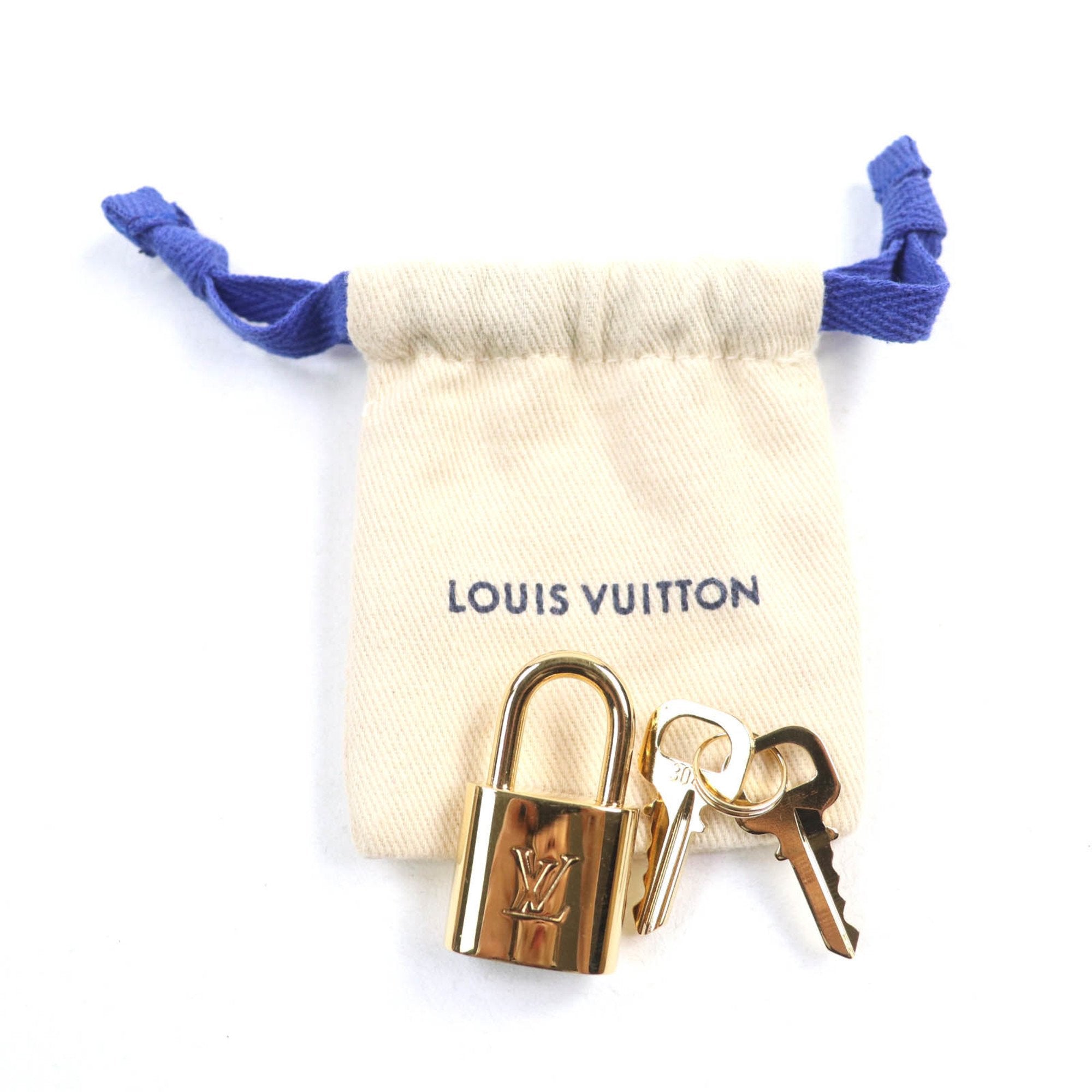 Louis Vuitton Brown Leather Handbag (Pre-Owned)
