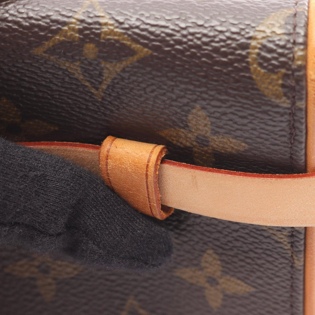 Louis Vuitton Brown Coated Canvas Pvc Monogram Leather Fanny Pack Pochette (Pre-Owned)