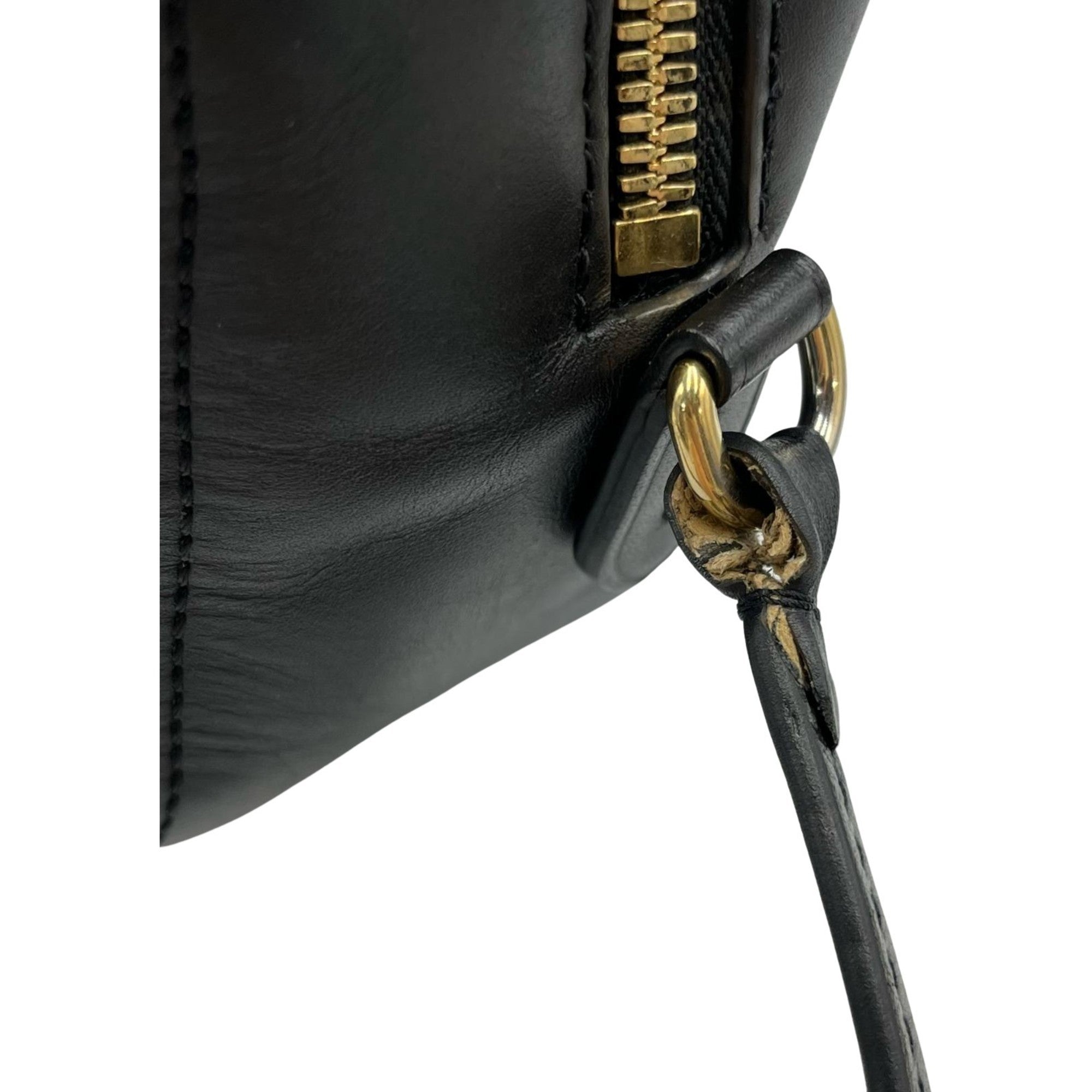 Saintonge Handbag Monogram Canvas with Leather