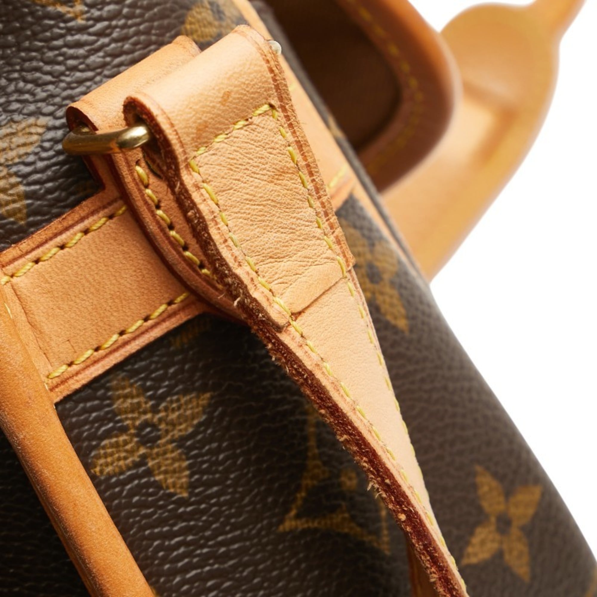 Sologne Handbag Monogram Canvas
