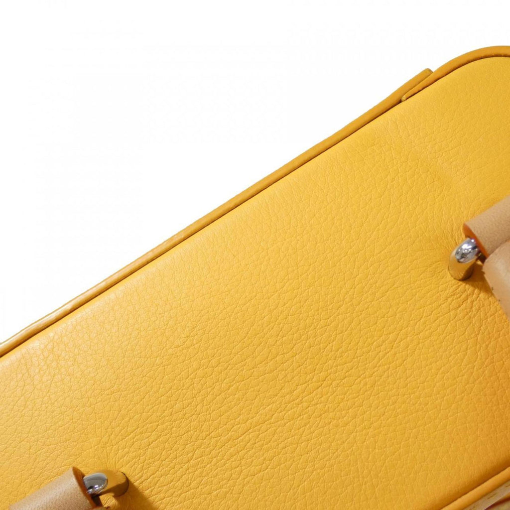 Louis Vuitton Saffron Leather Handbag (Pre-Owned)