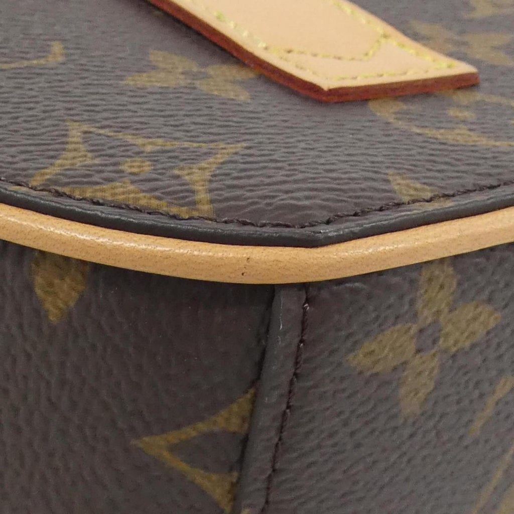Louis Vuitton Marron Coated Canvas Handbag (Pre-Owned)