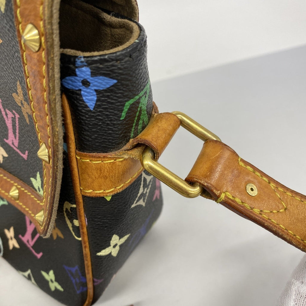 Sologne Handbag Monogram Multicolor
