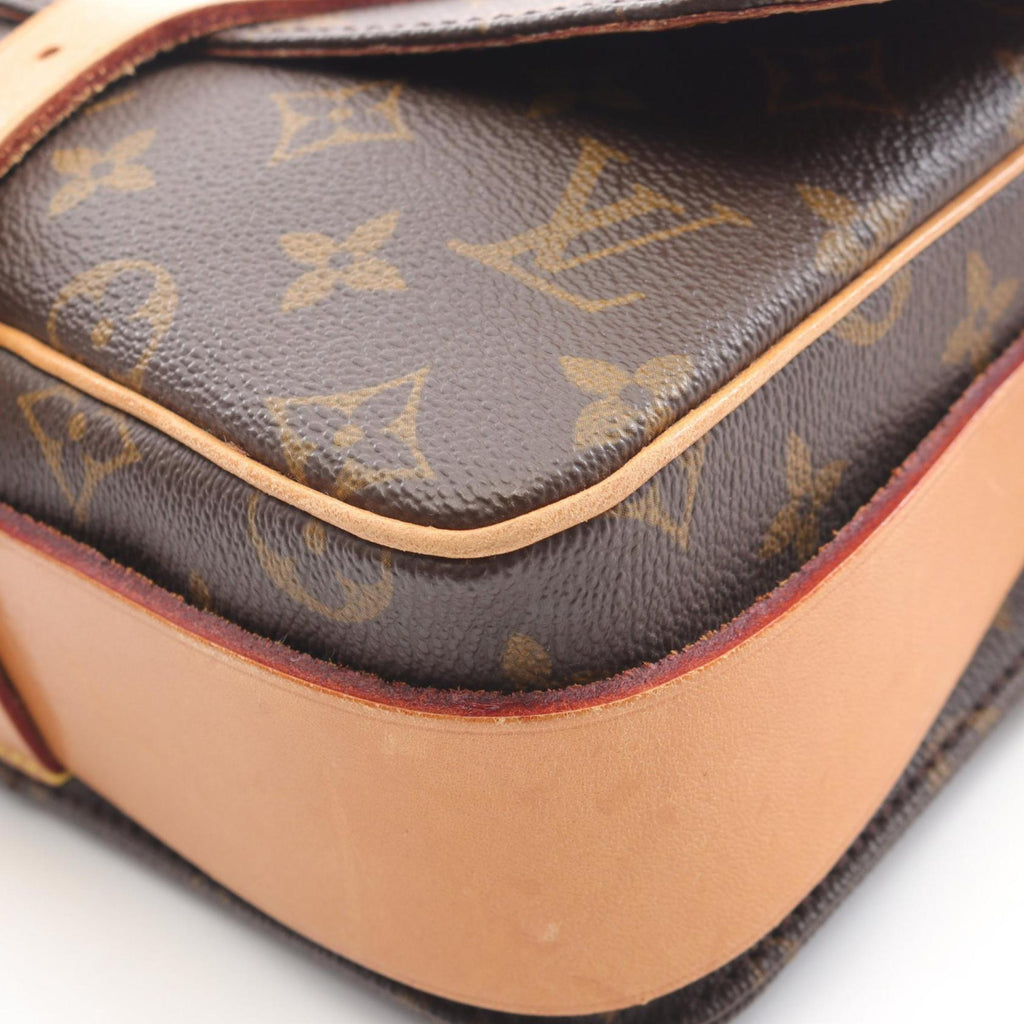 Louis Vuitton Brown Coated Canvas Pvc Leather Monogram Shoulder Bag (Pre-Owned)