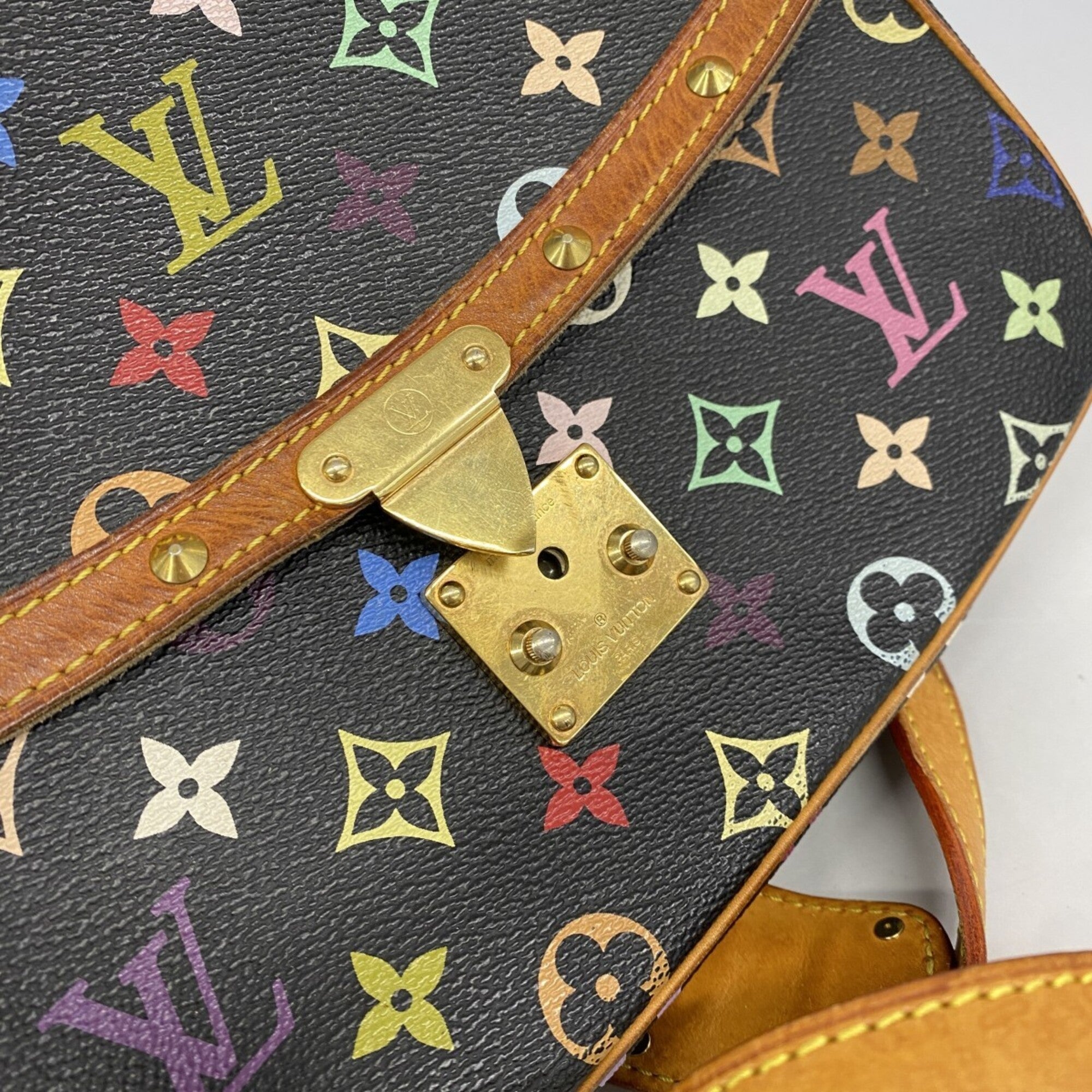 Sologne Handbag Monogram Multicolor