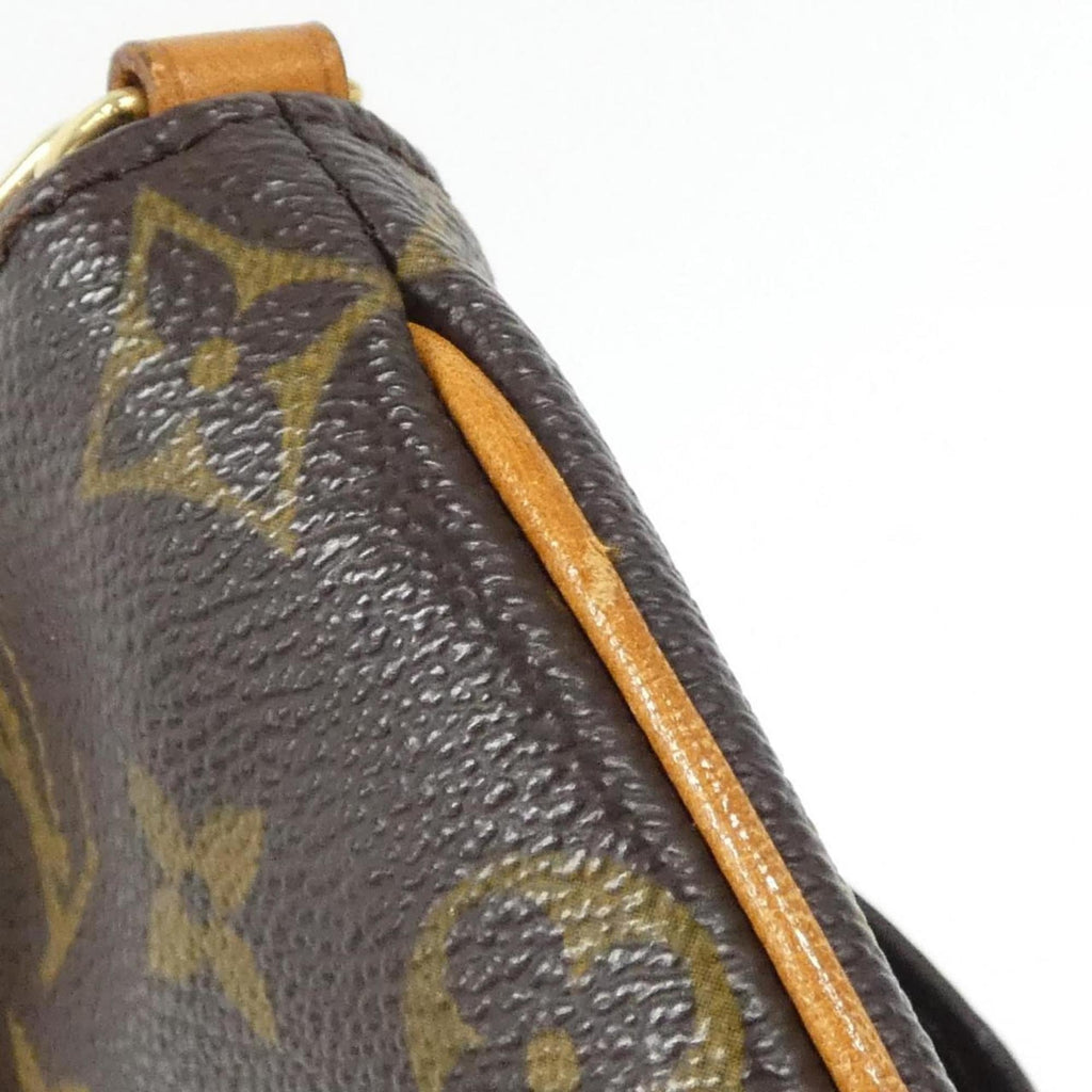 Louis Vuitton Marron Monogram Monogram Handbag (Pre-Owned)