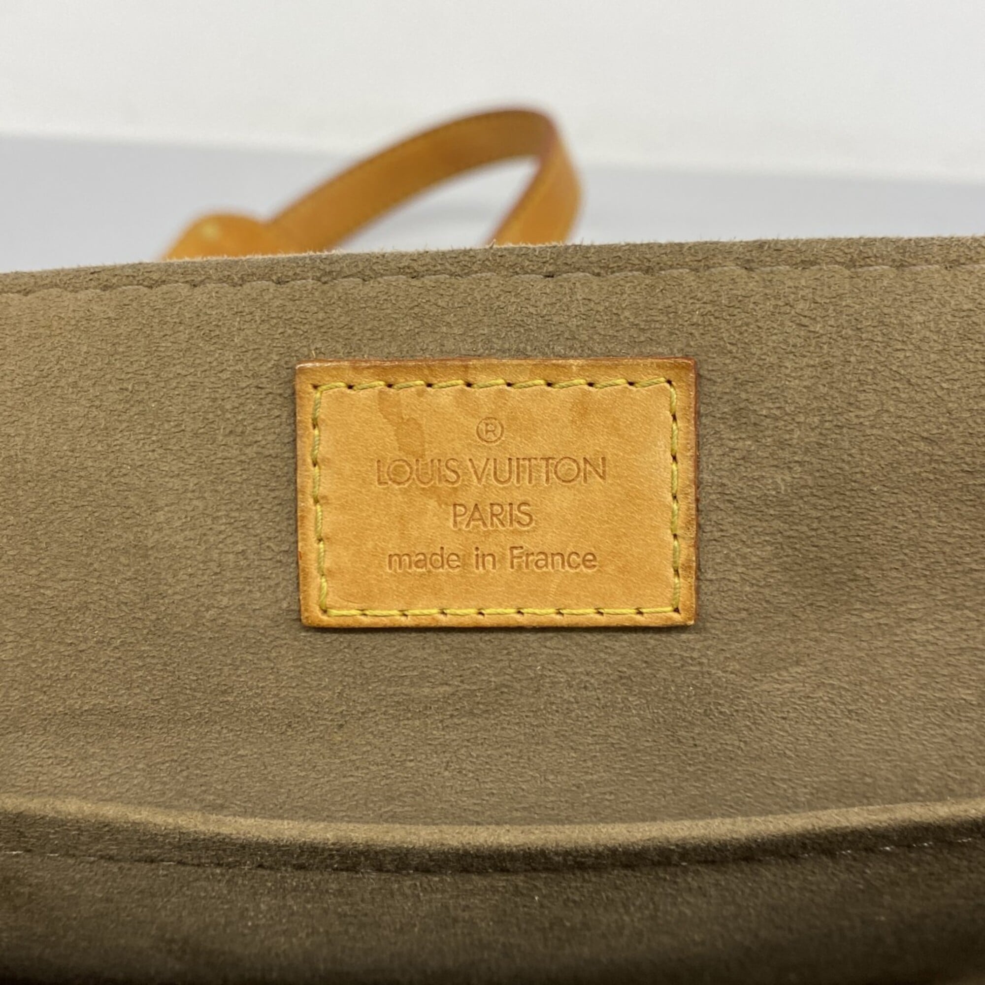 Sologne Handbag Monogram Multicolor