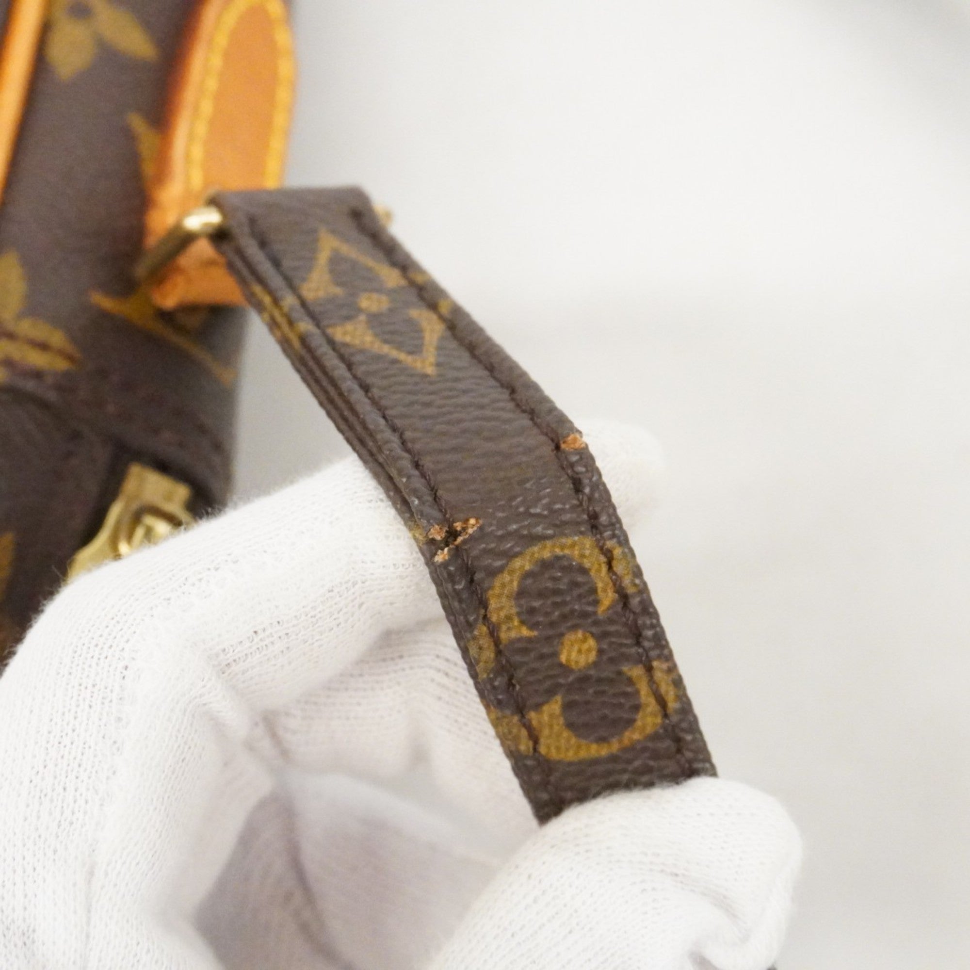 Danube Handbag Monogram Canvas