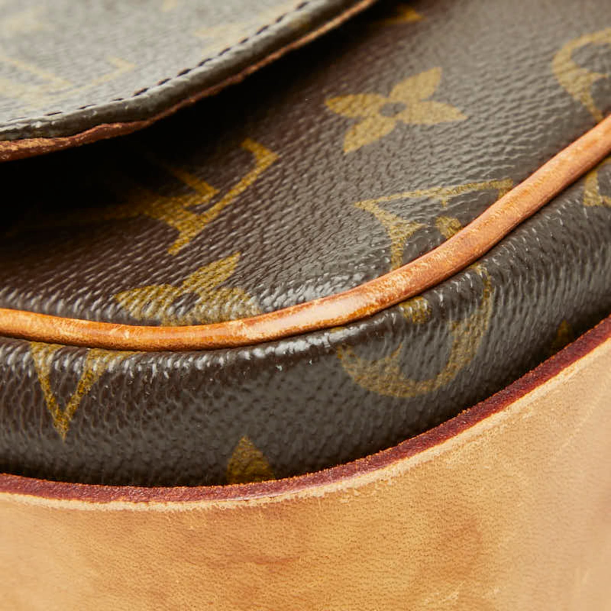 Cartouchiere Handbag Monogram Canvas MM