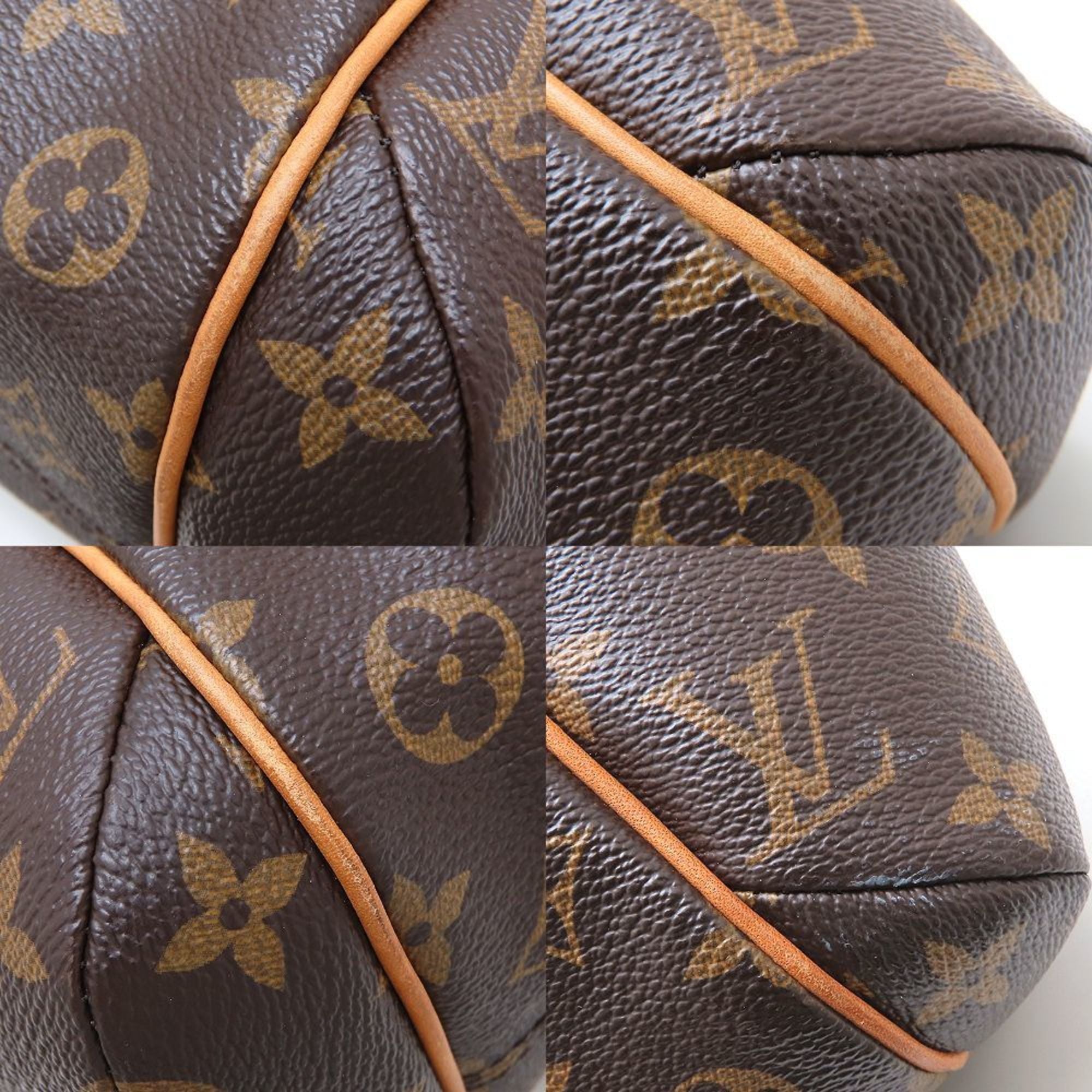 Louis Vuitton Brown Canvas Tote Bag (Pre-Owned)