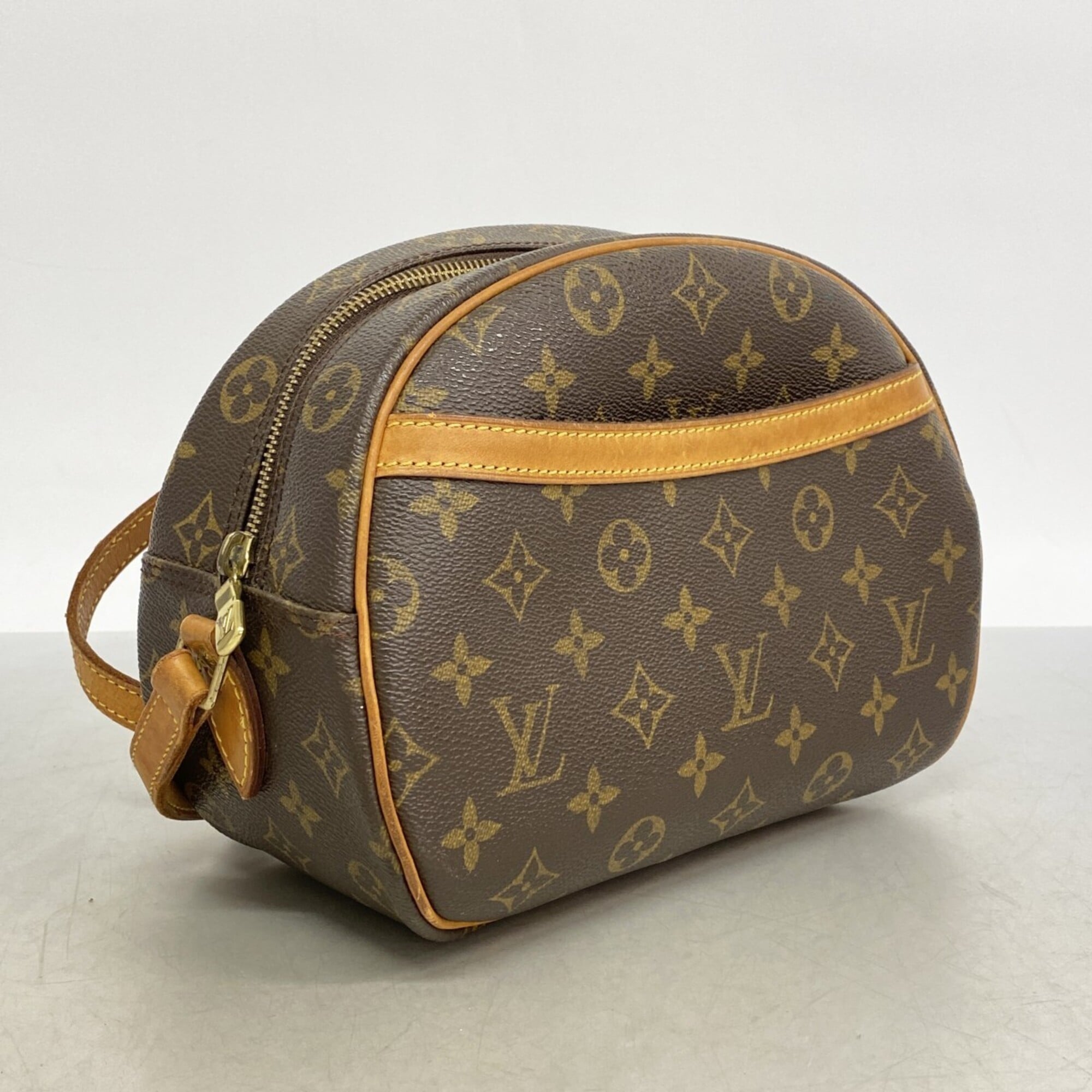 Blois Handbag Monogram Canvas