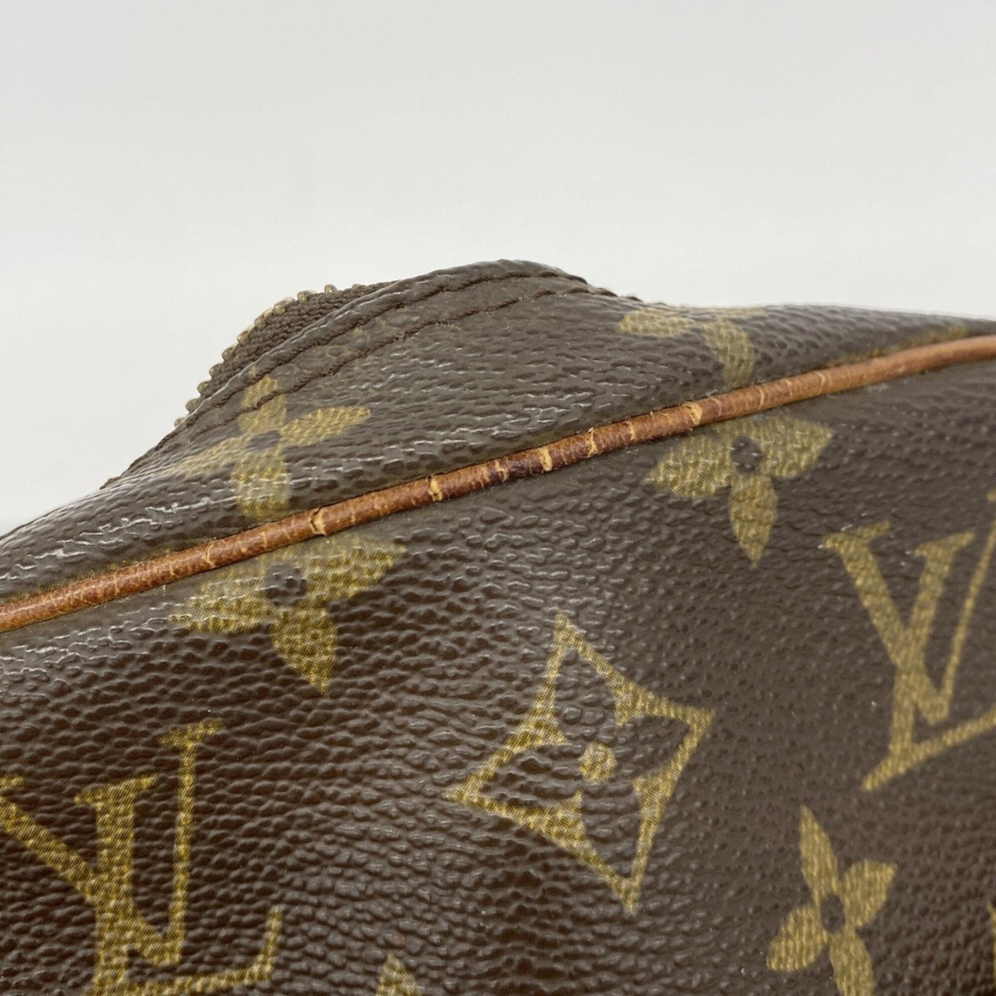 Danube Handbag Monogram Canvas