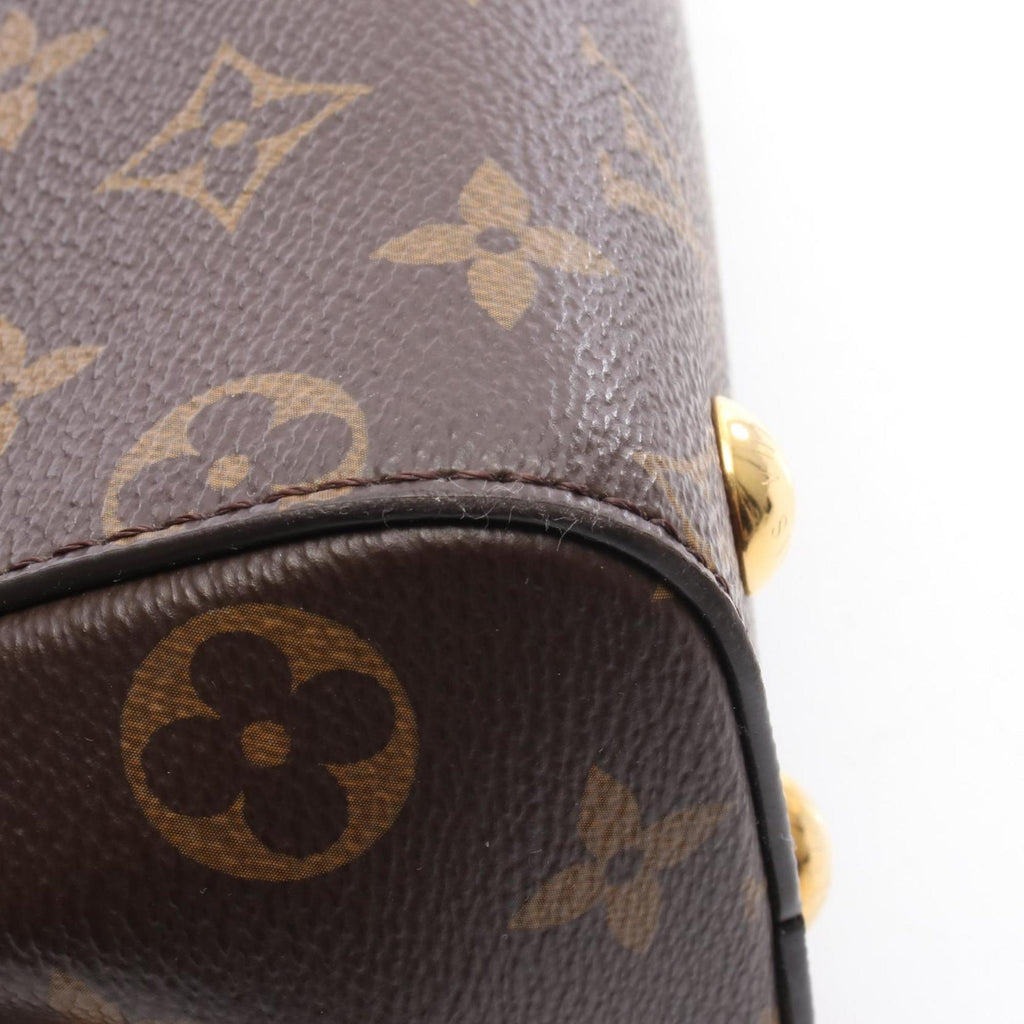 Louis Vuitton Brown Pvc Leather Handbag (Pre-Owned)