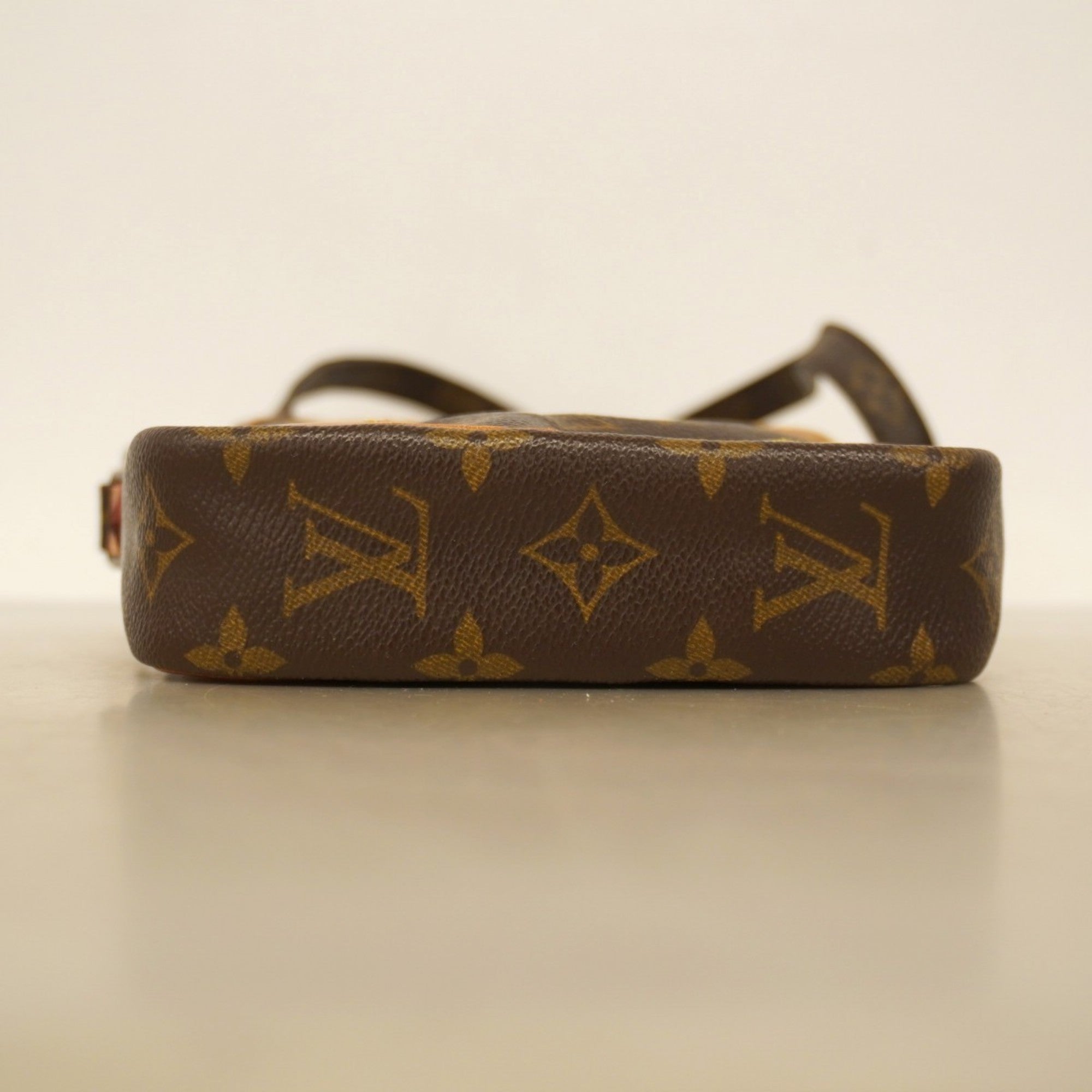 Danube Handbag Monogram Canvas