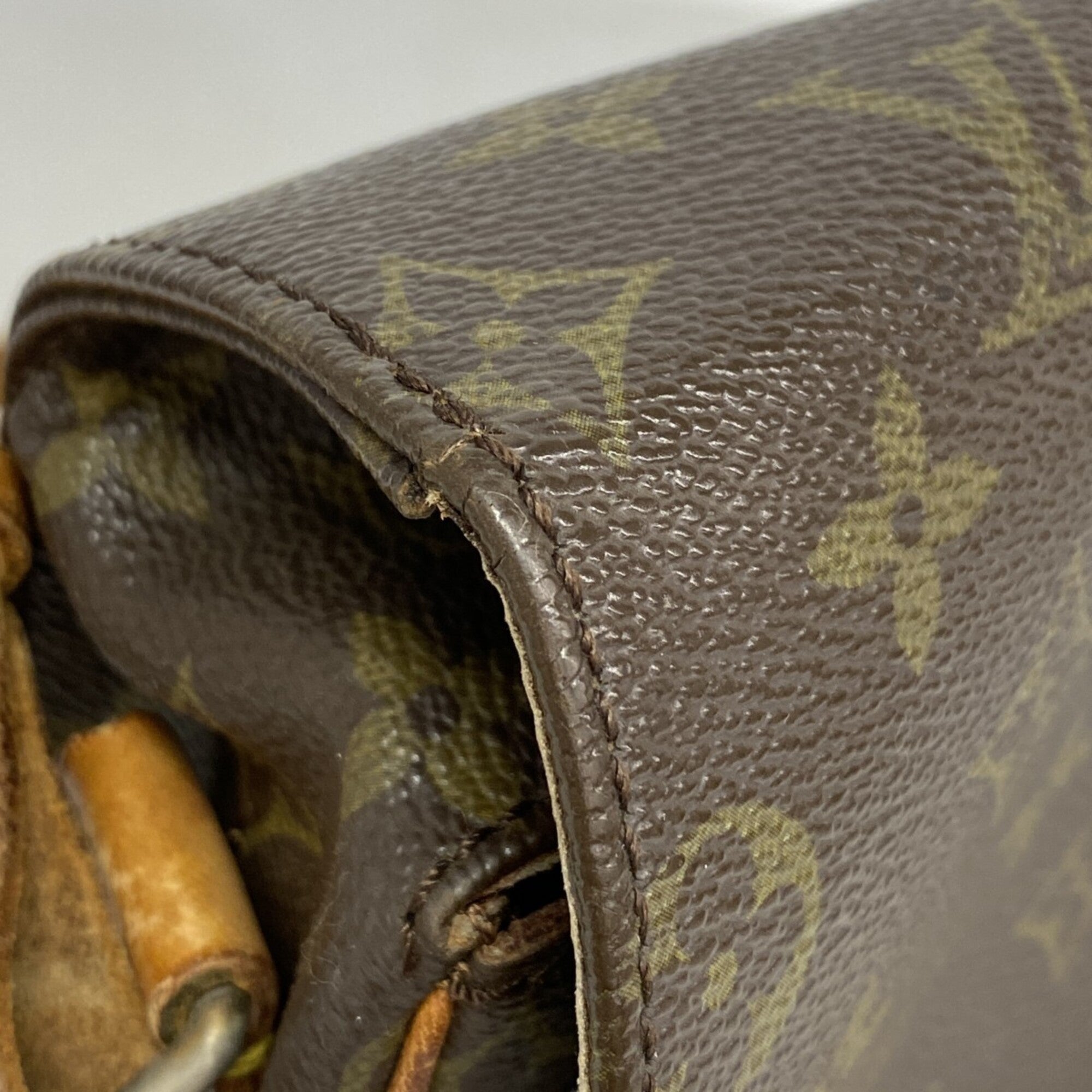 Cartouchiere Handbag Monogram Canvas GM