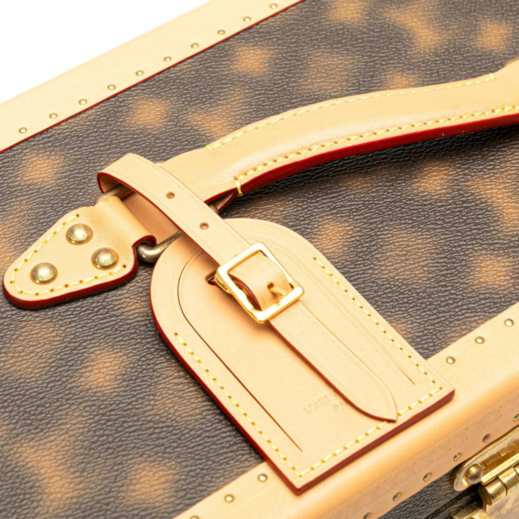 Louis Vuitton Brown Pvc Leather Handbag (Pre-Owned)